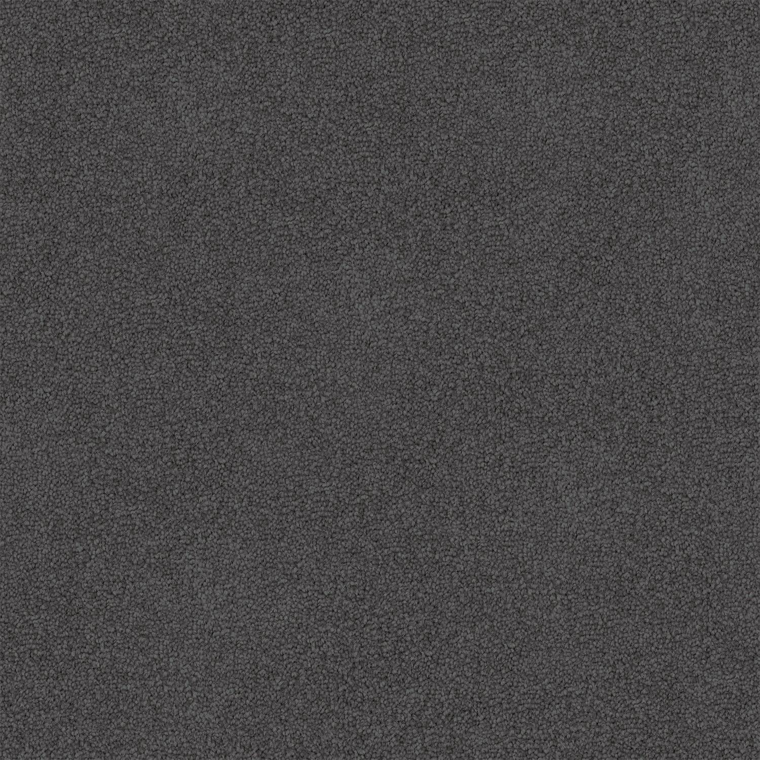 Dawn Rise carpet in Ebony