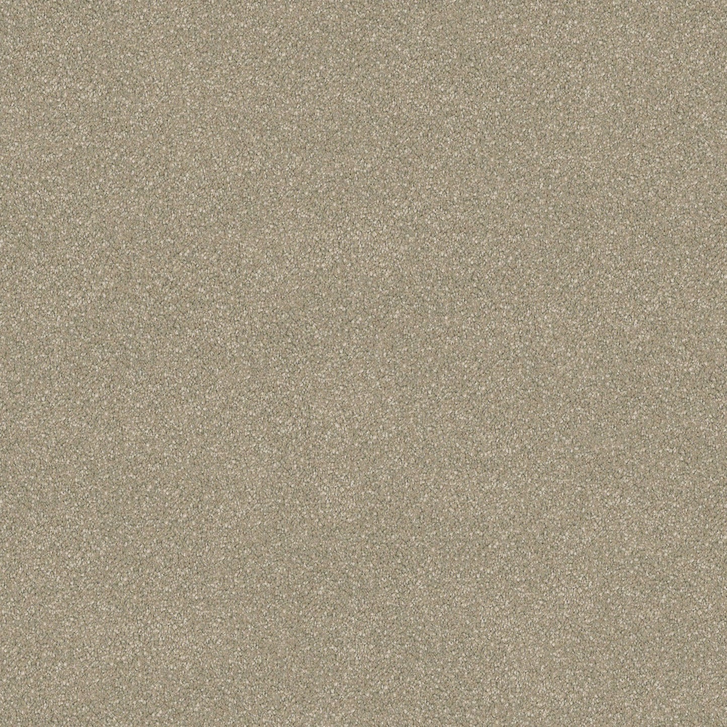 Wild River carpet in Limestone Stipple