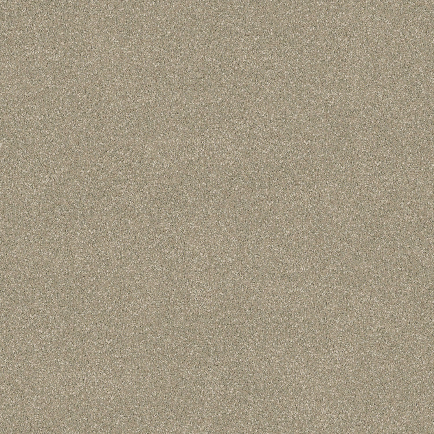 Wild River carpet in Limestone Stipple
