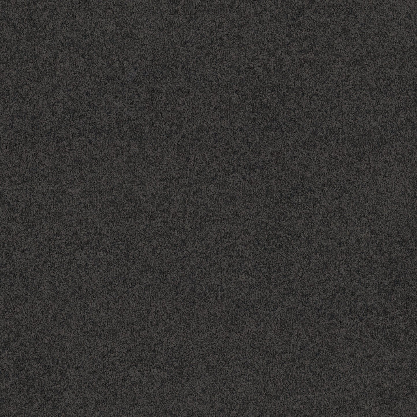 Lasting Touch carpet in Phantom