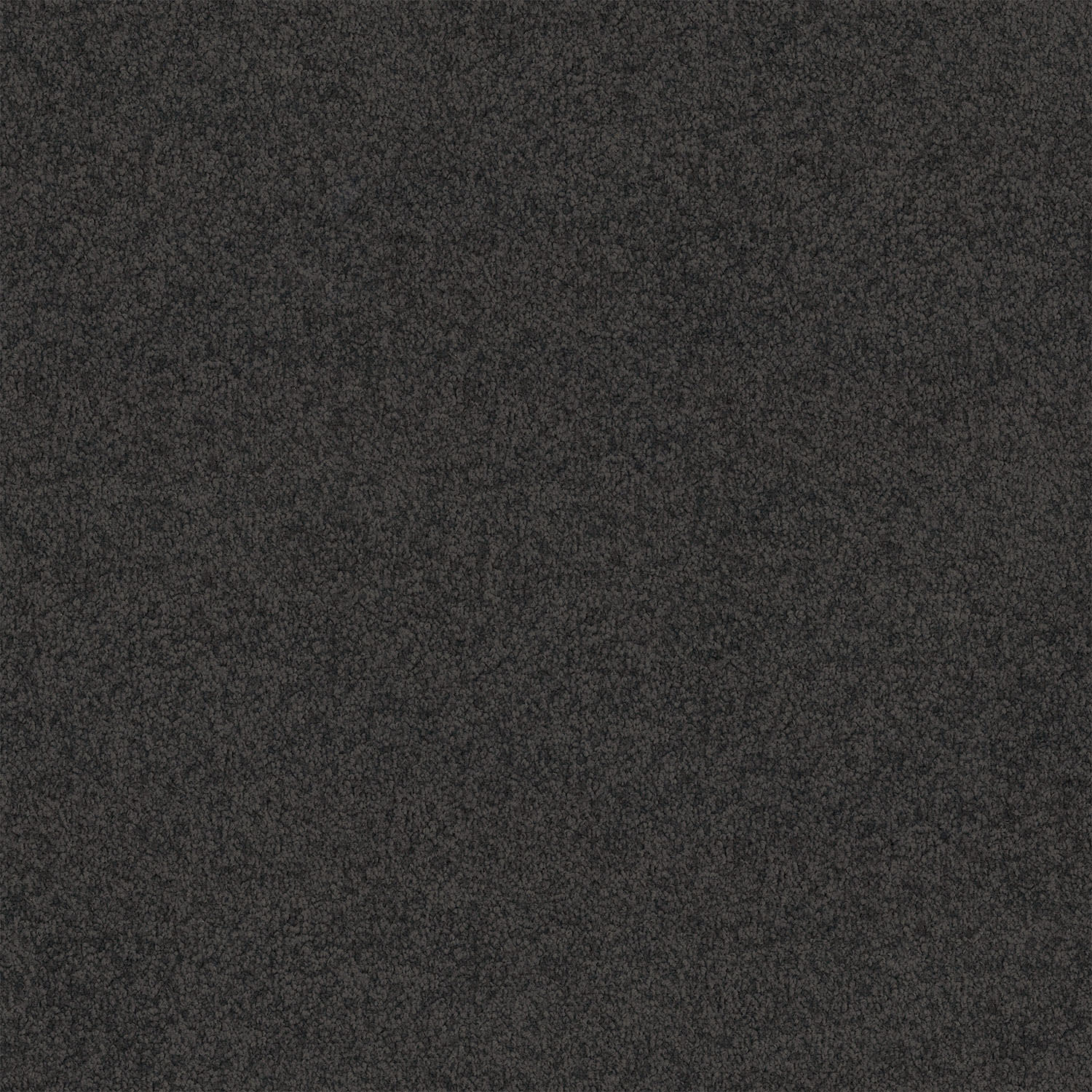 Lasting Touch carpet in Phantom