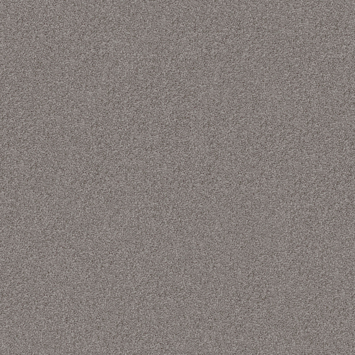 Domain Rise carpet in Quicksilver