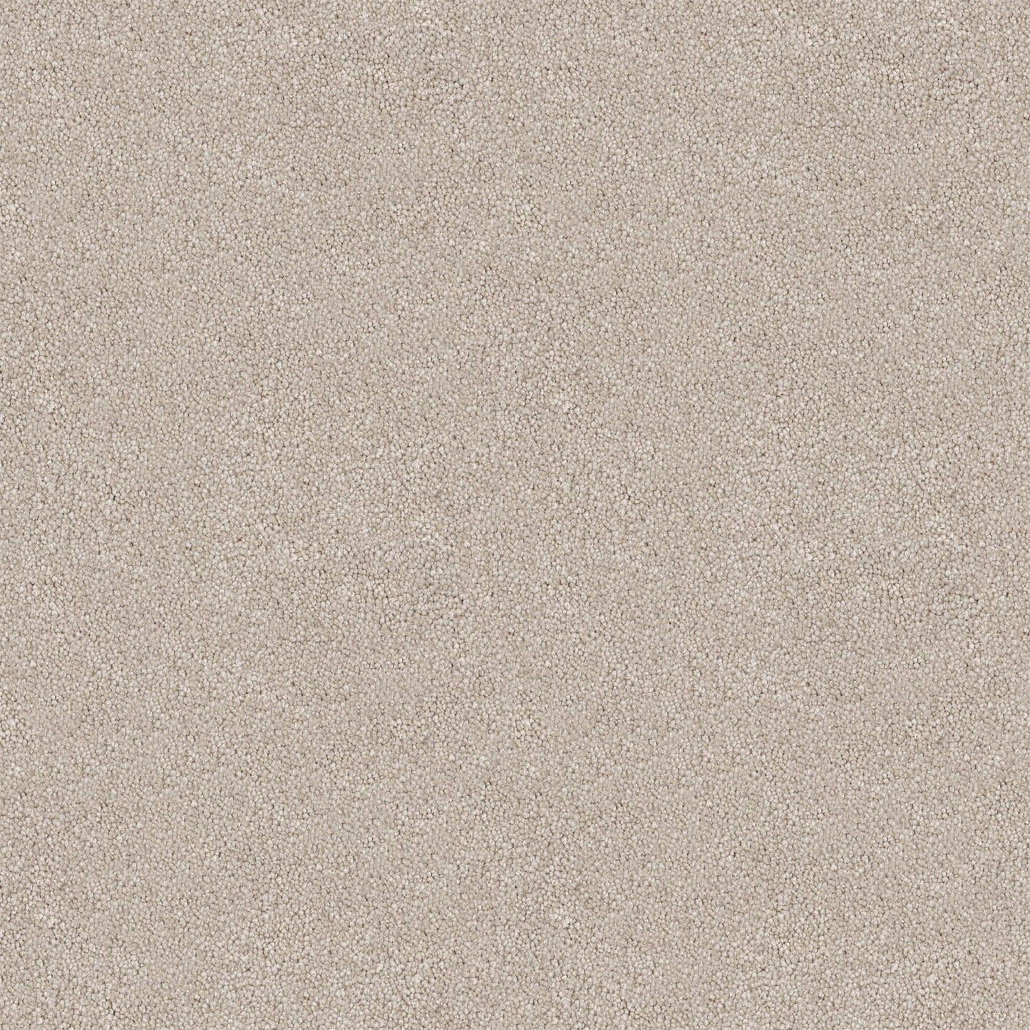 Velura carpet in Opal Bay