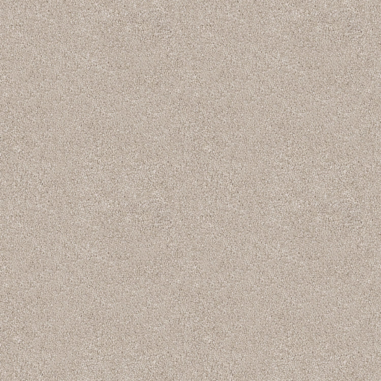 Velura carpet in Opal Bay
