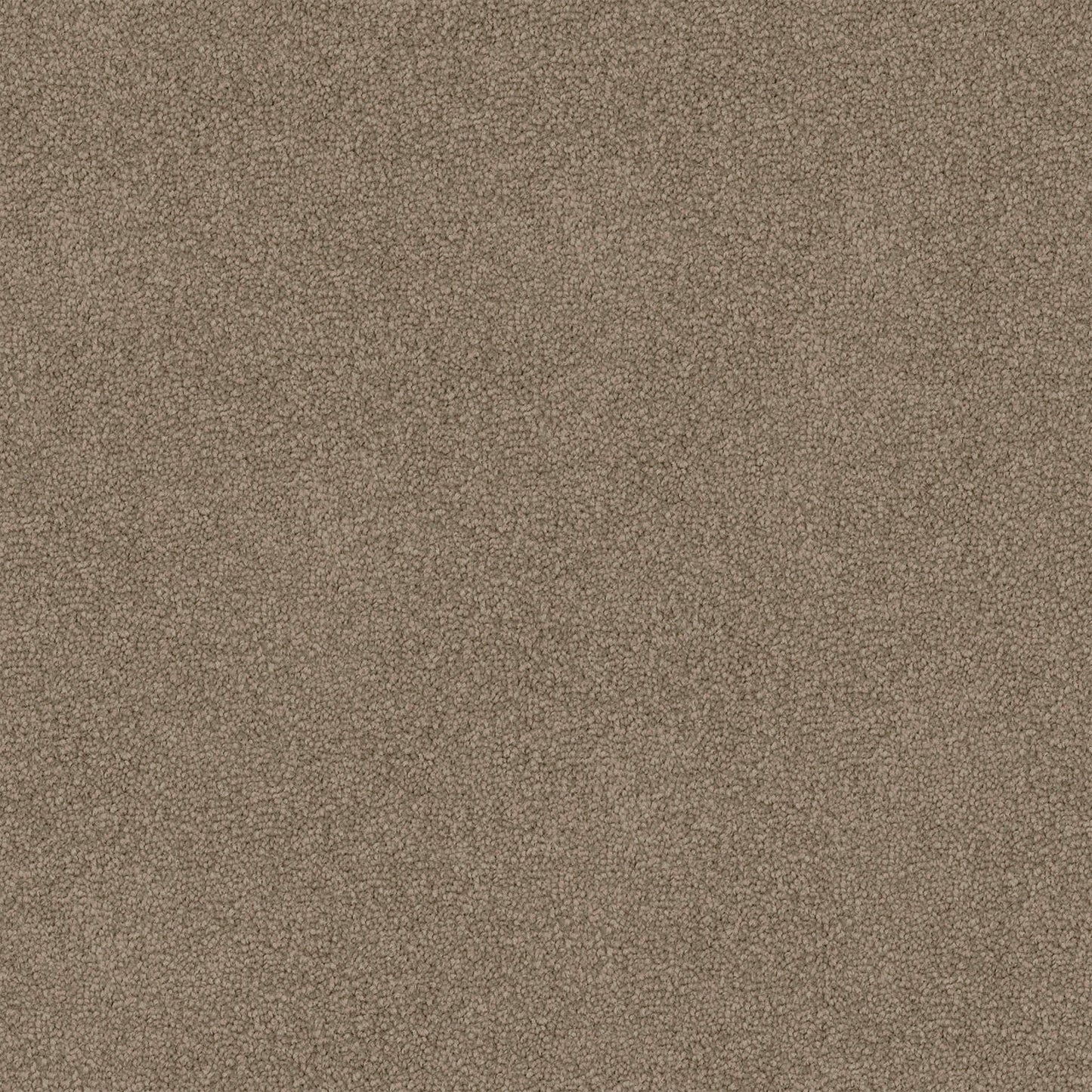 Mountain Chalet carpet in Bilby