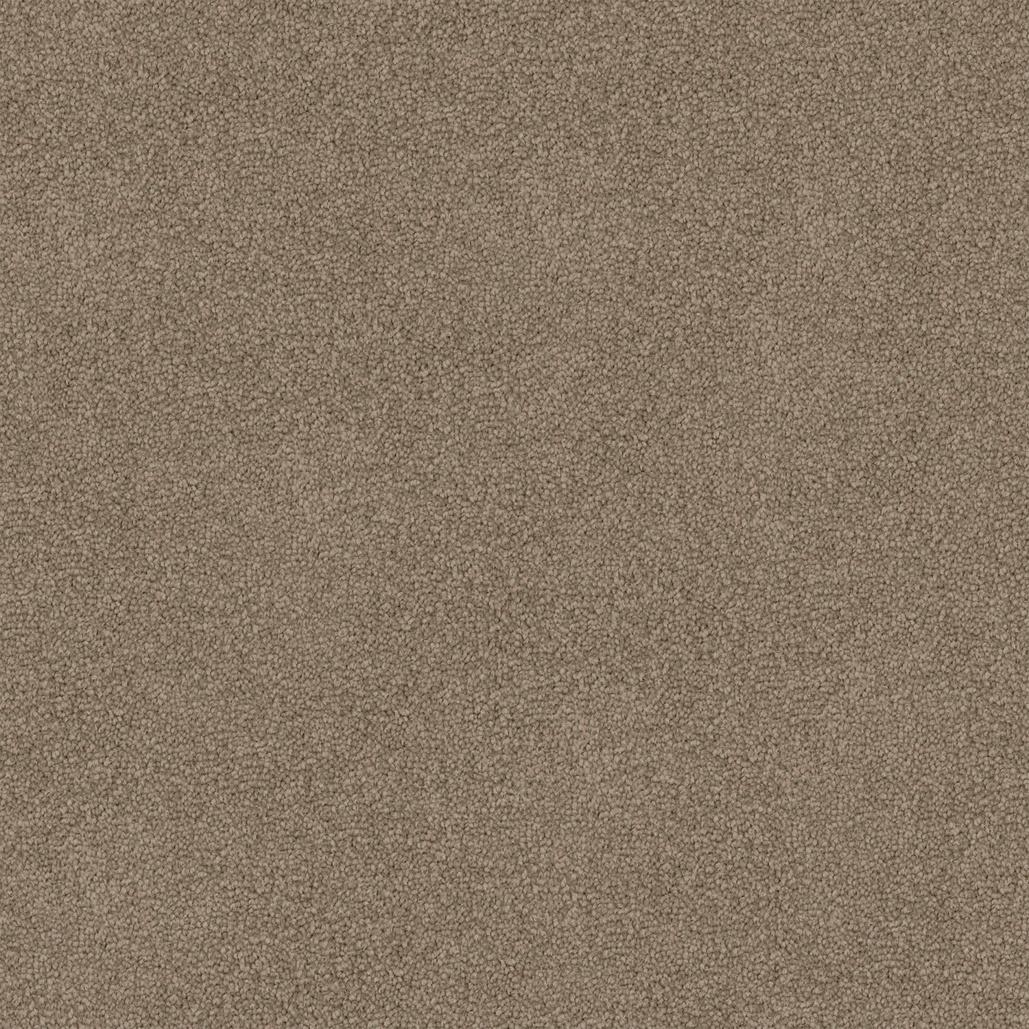 Mountain Chalet carpet in Bilby