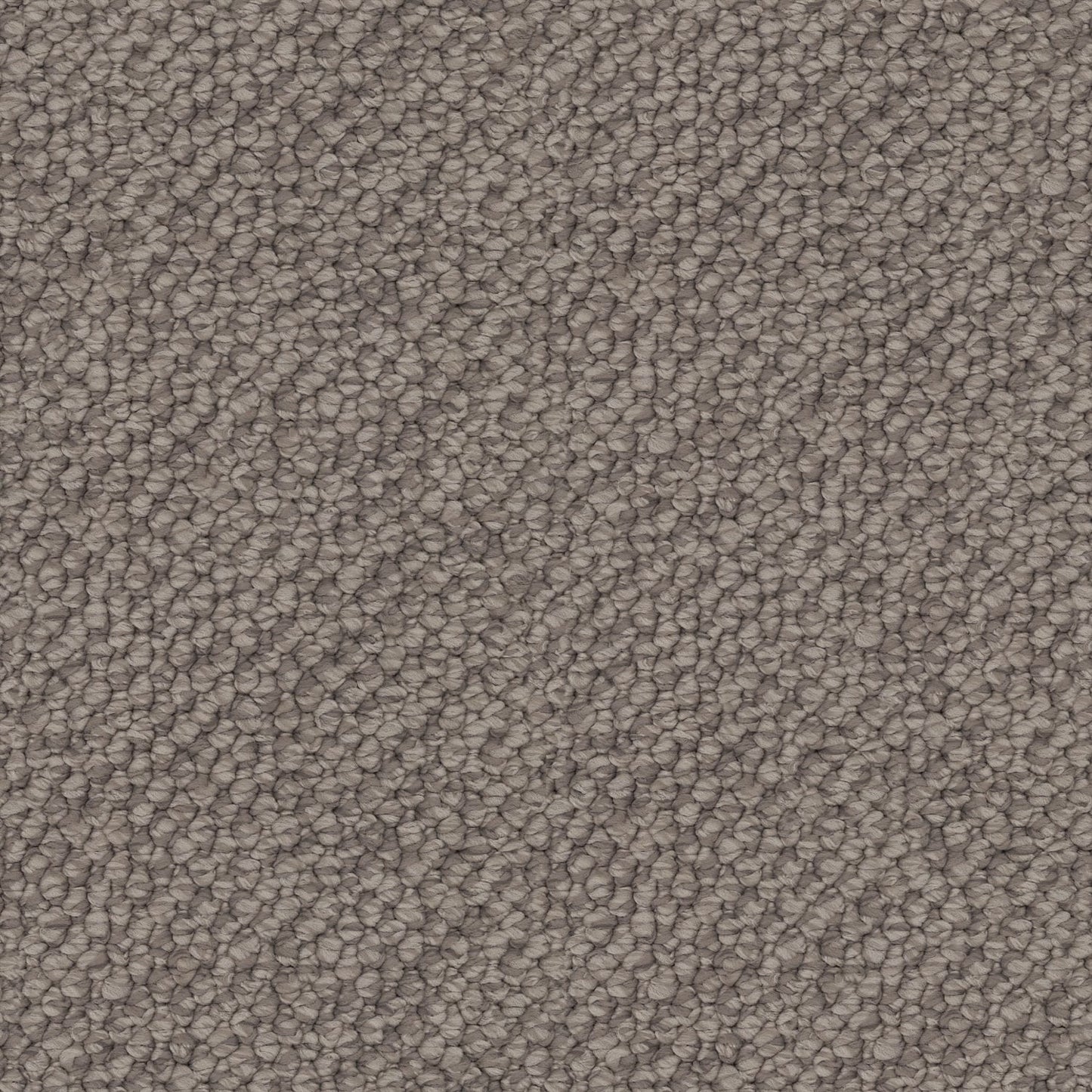 Finesse carpet in Refined