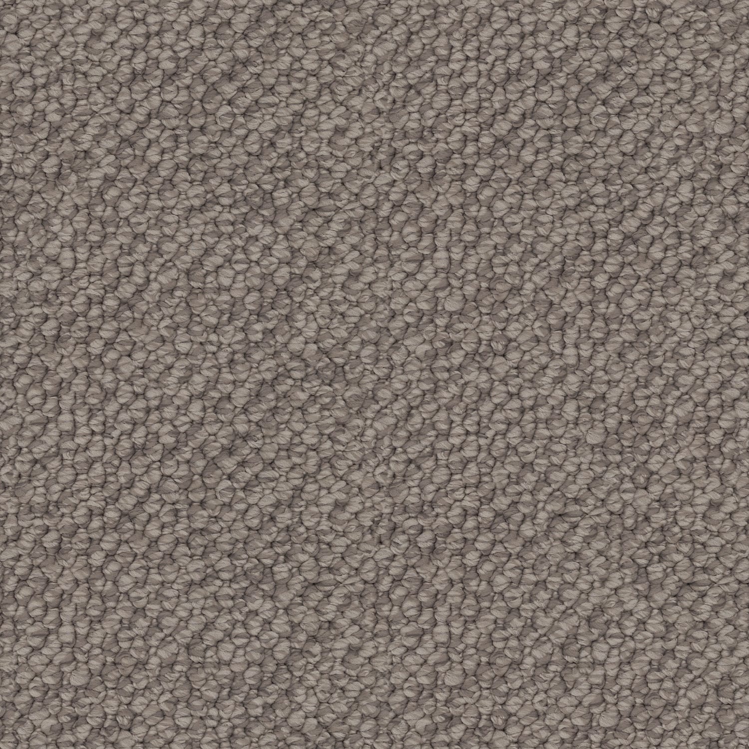 Finesse carpet in Refined