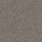 Finesse carpet in Refined