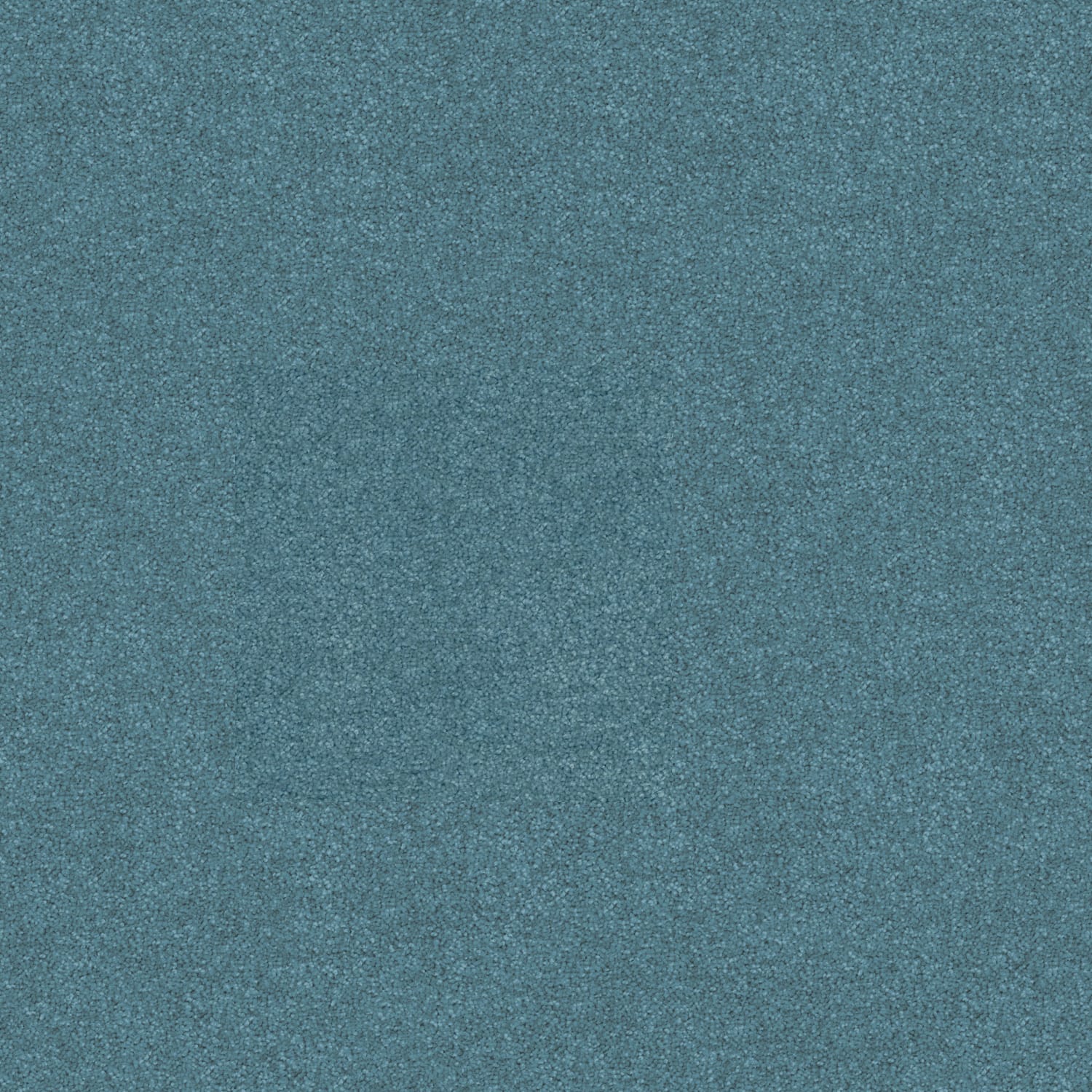 Freedom carpet in Clear Blue