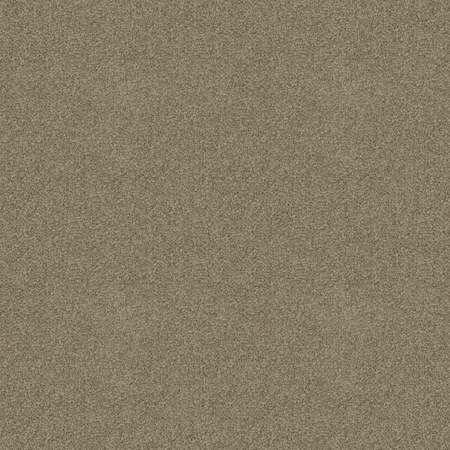 Crestview carpet in Zircon
