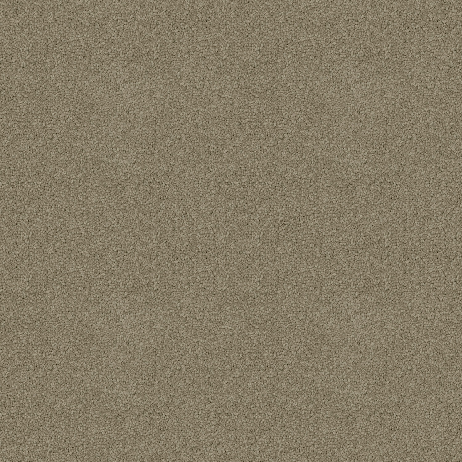 Crestview carpet in Zircon
