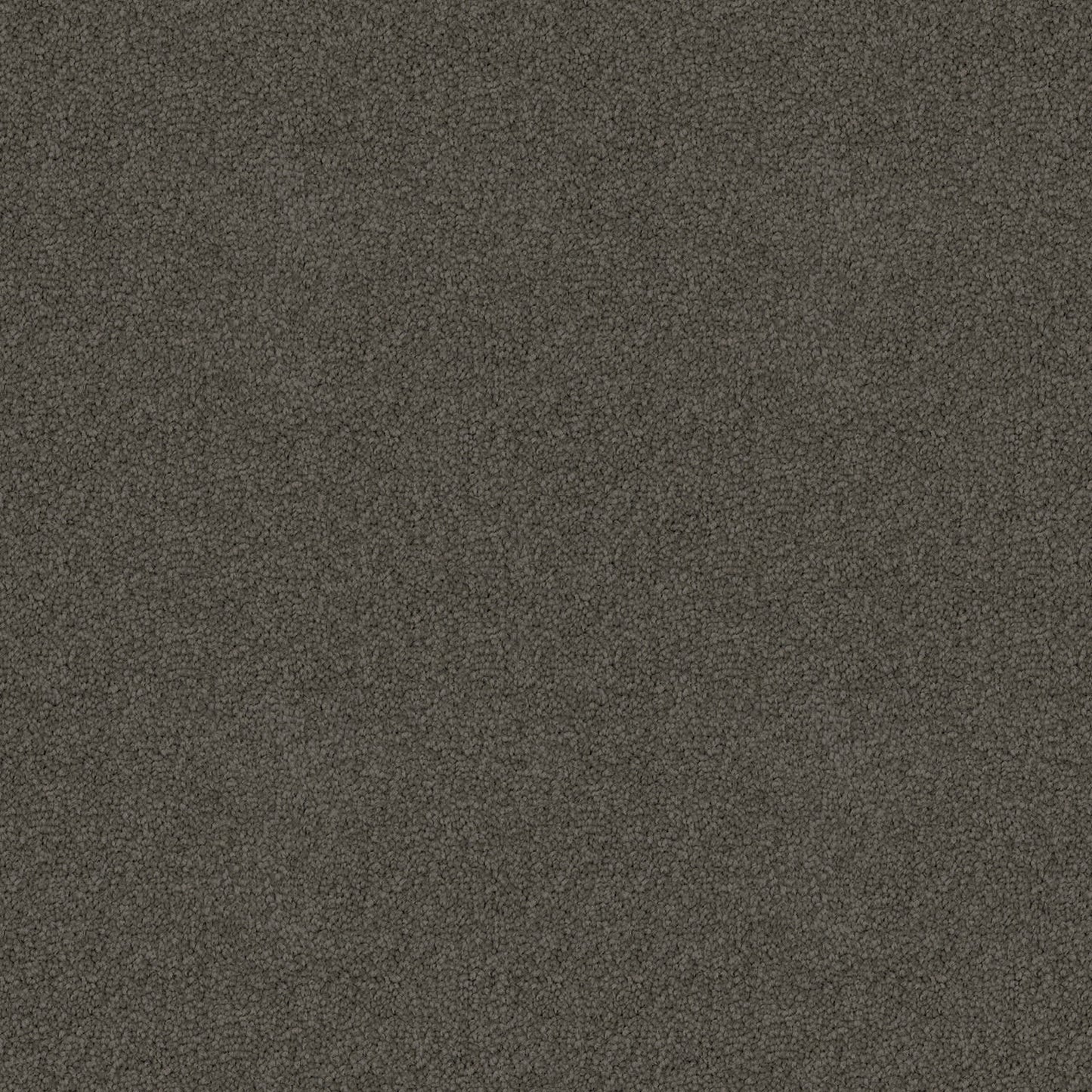 Crestview carpet in Mysterious