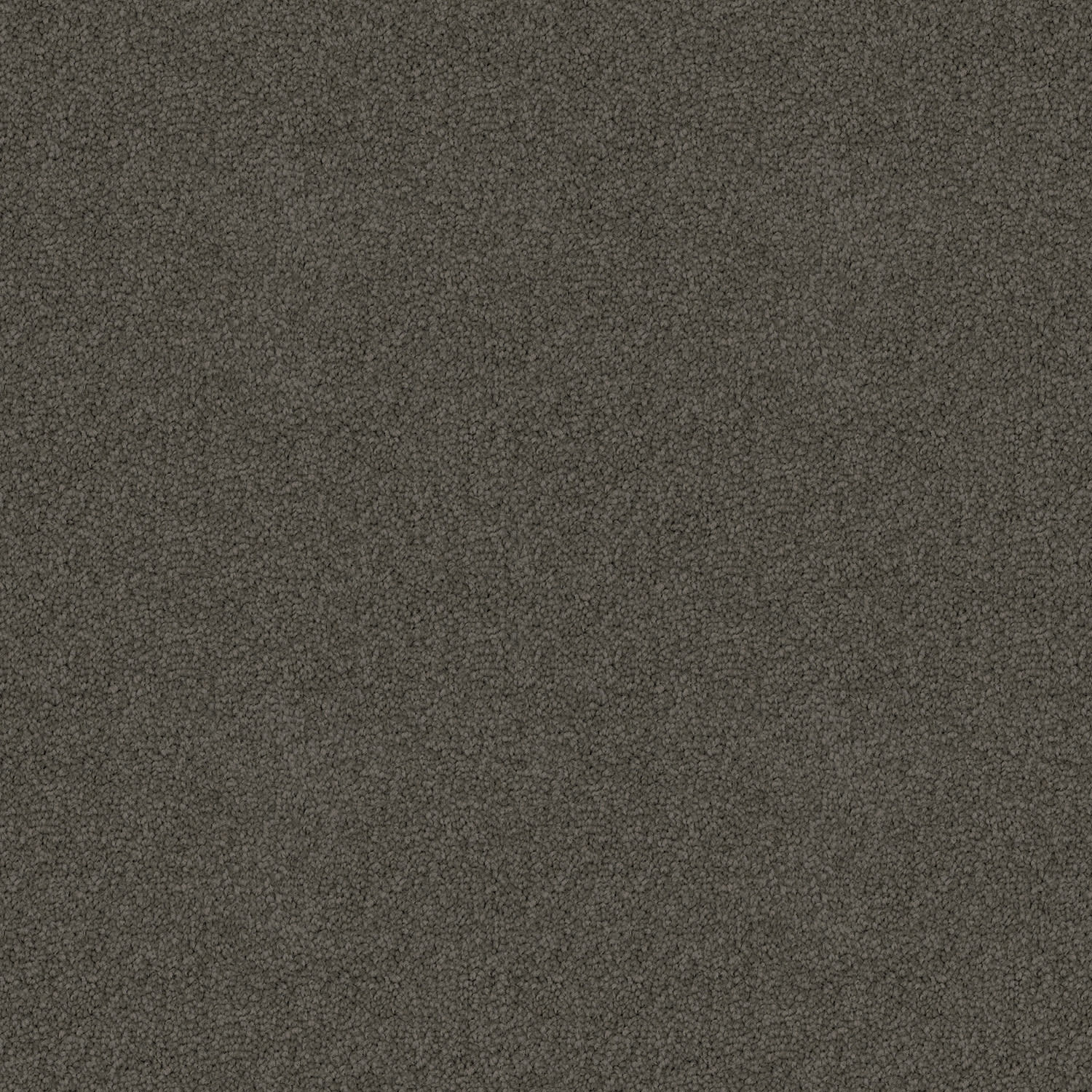 Crestview carpet in Mysterious