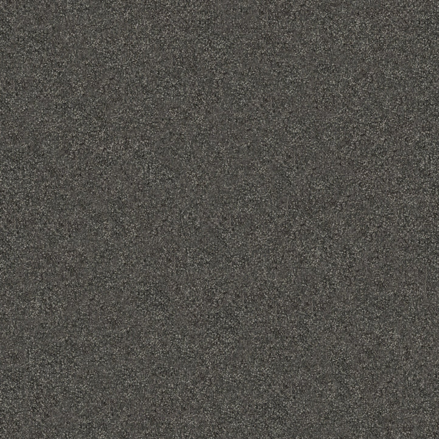 Tivoli carpet in Macchiato