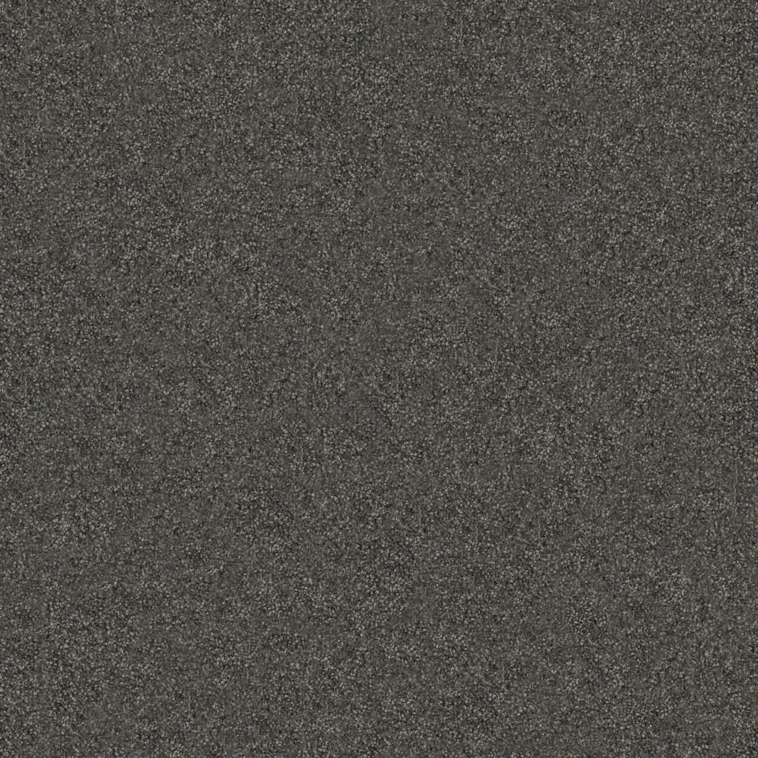 Tivoli carpet in Macchiato