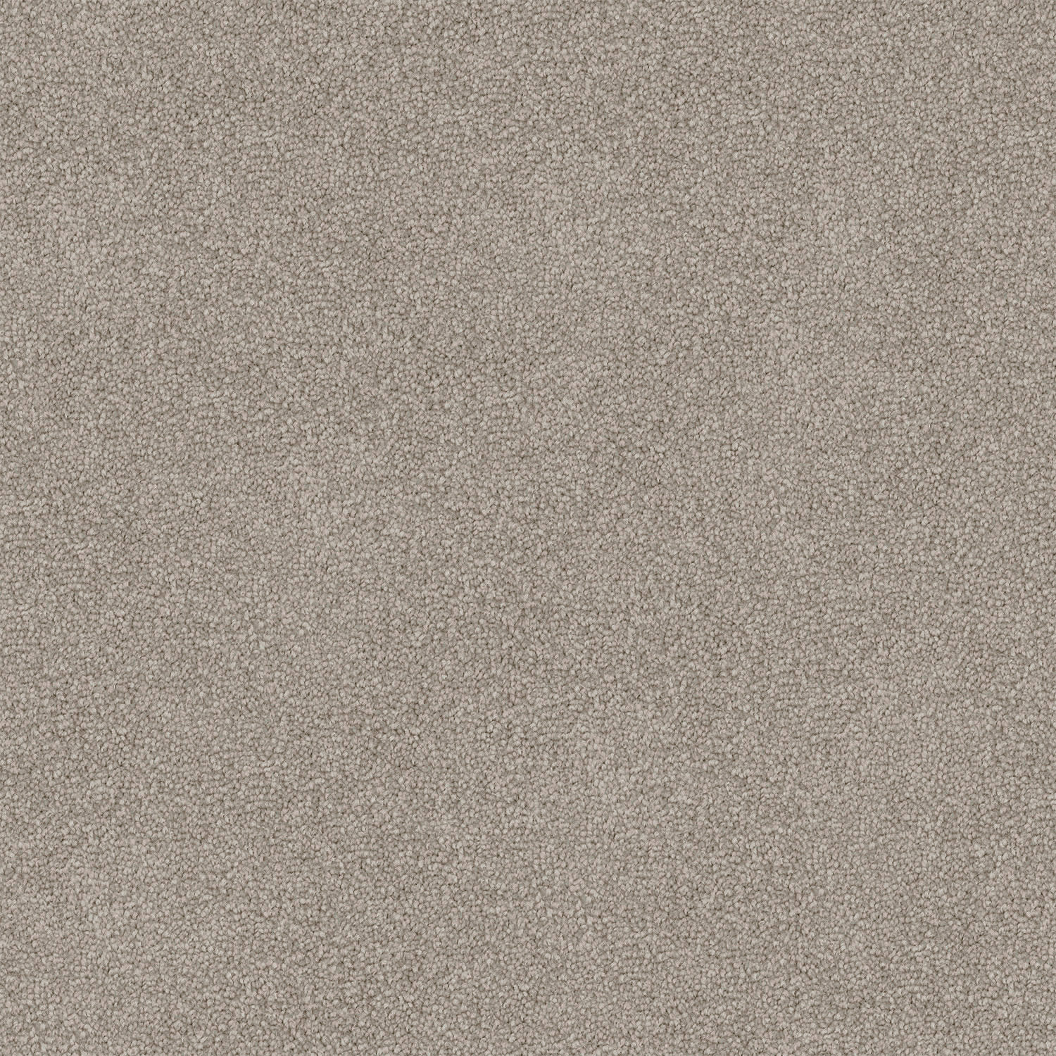 Mountain Chalet carpet in Glacier Stand