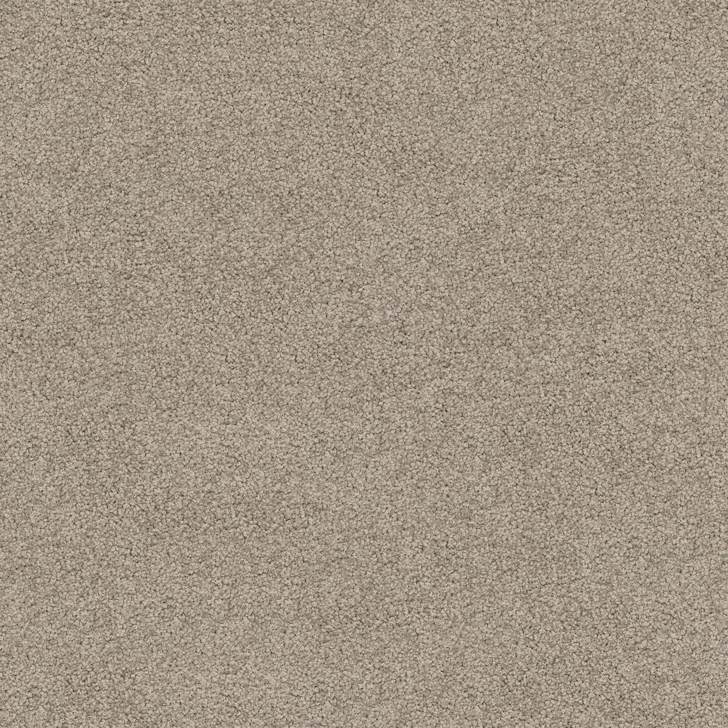 Riverina carpet in Suede