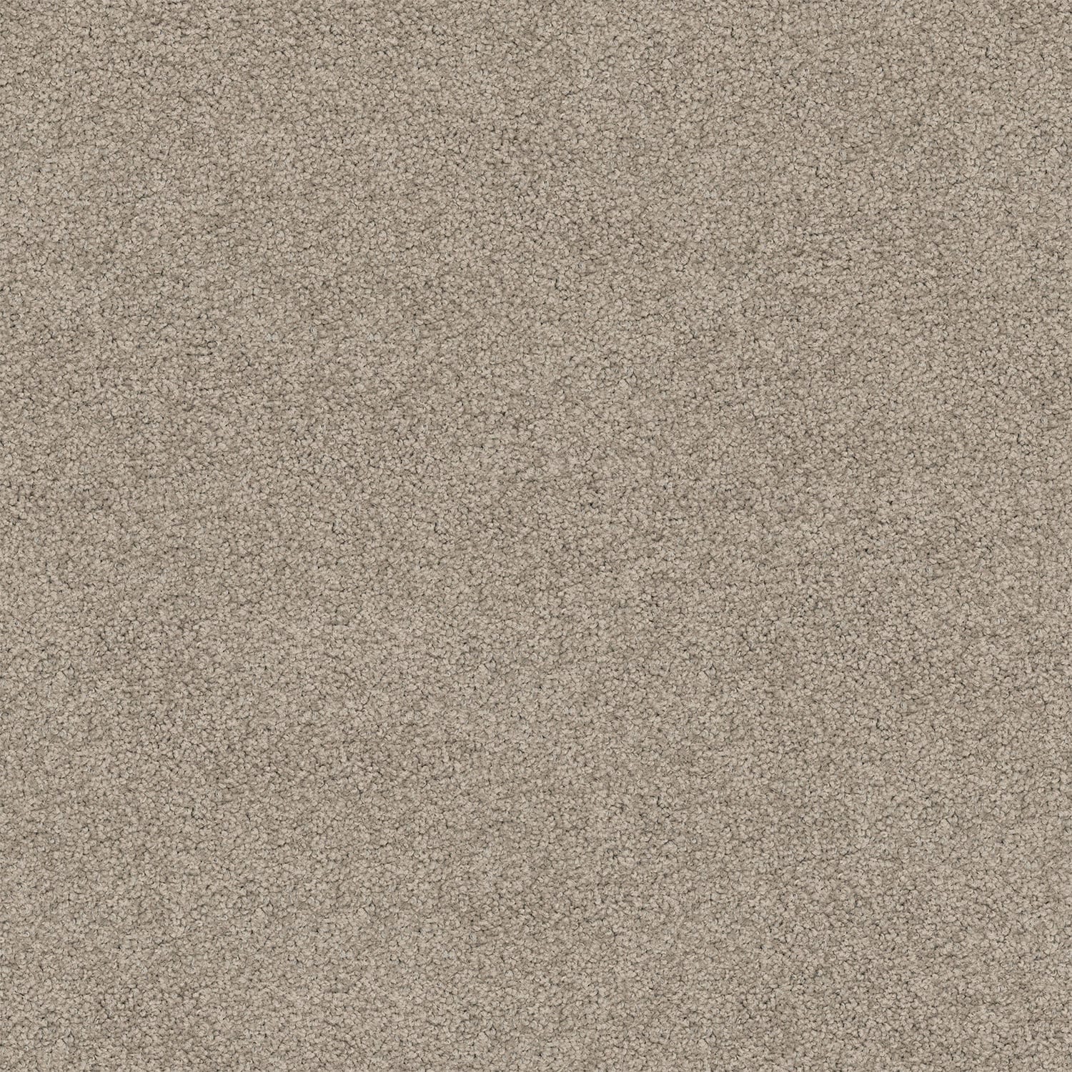 Riverina carpet in Suede