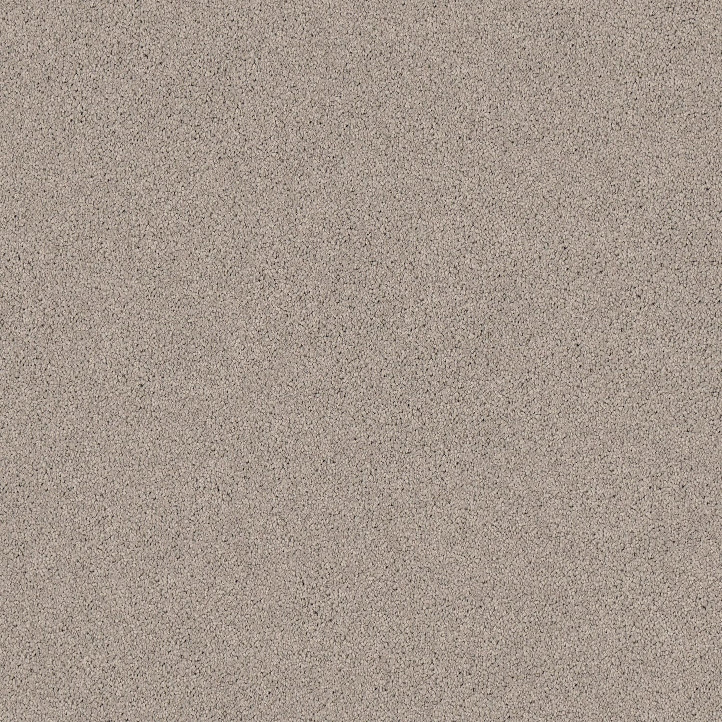 Gentle Essence carpet in Flint