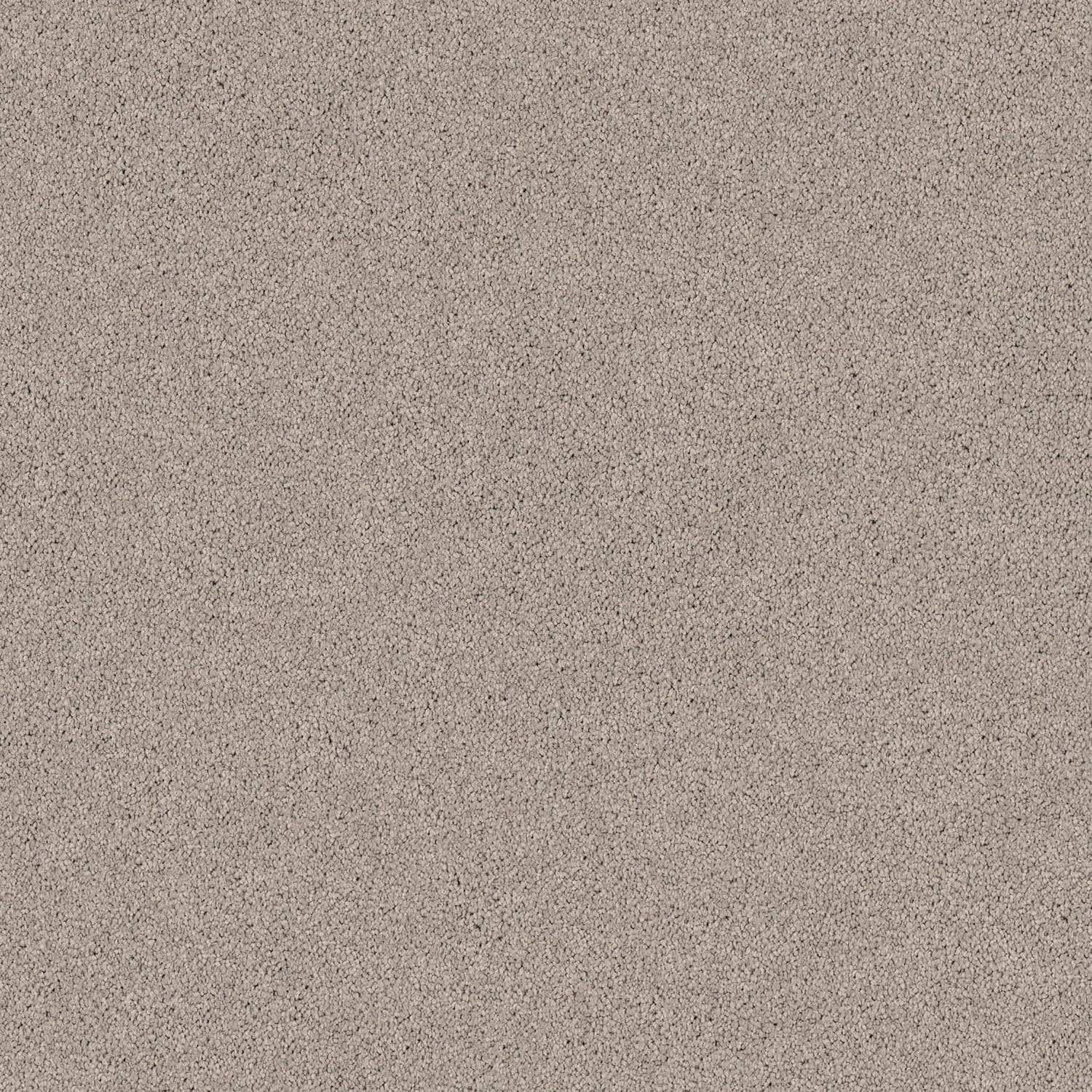 Gentle Essence carpet in Flint