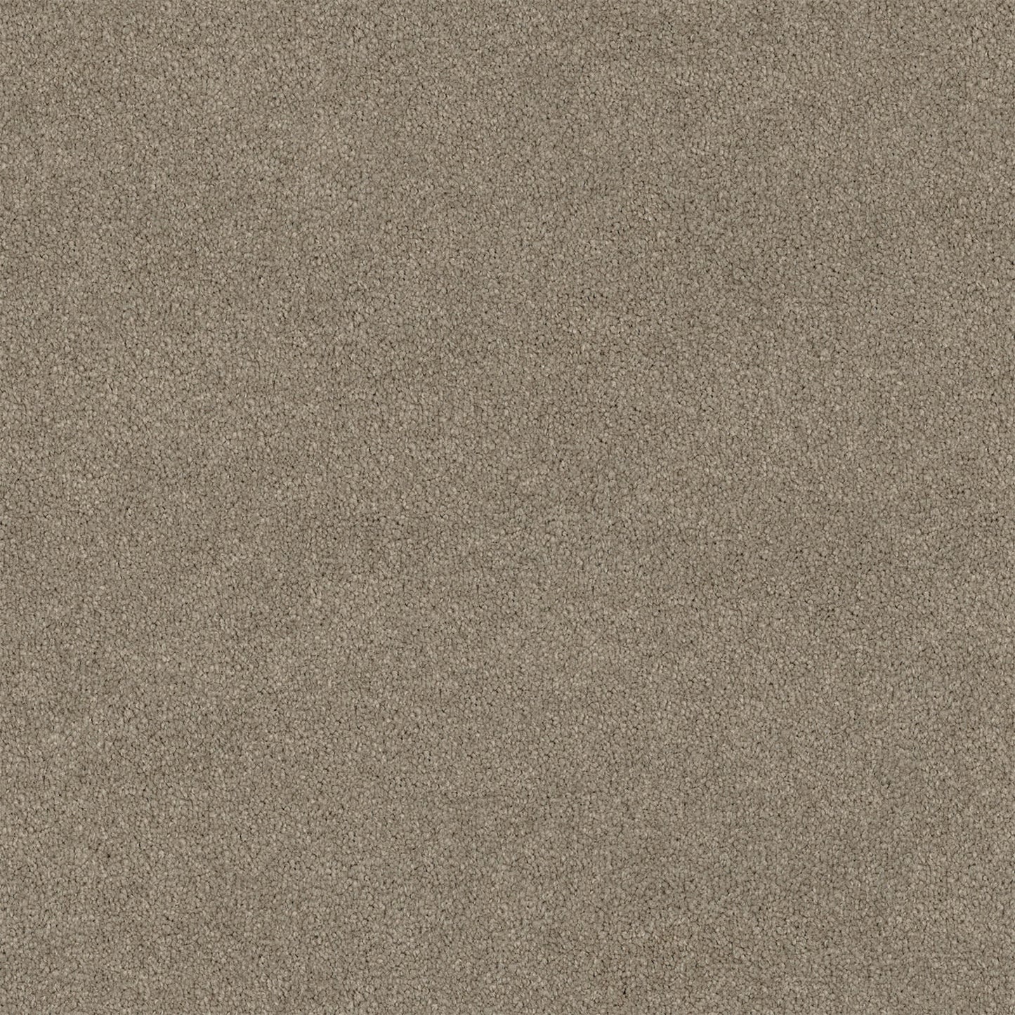 Lasting Touch carpet in Heritage