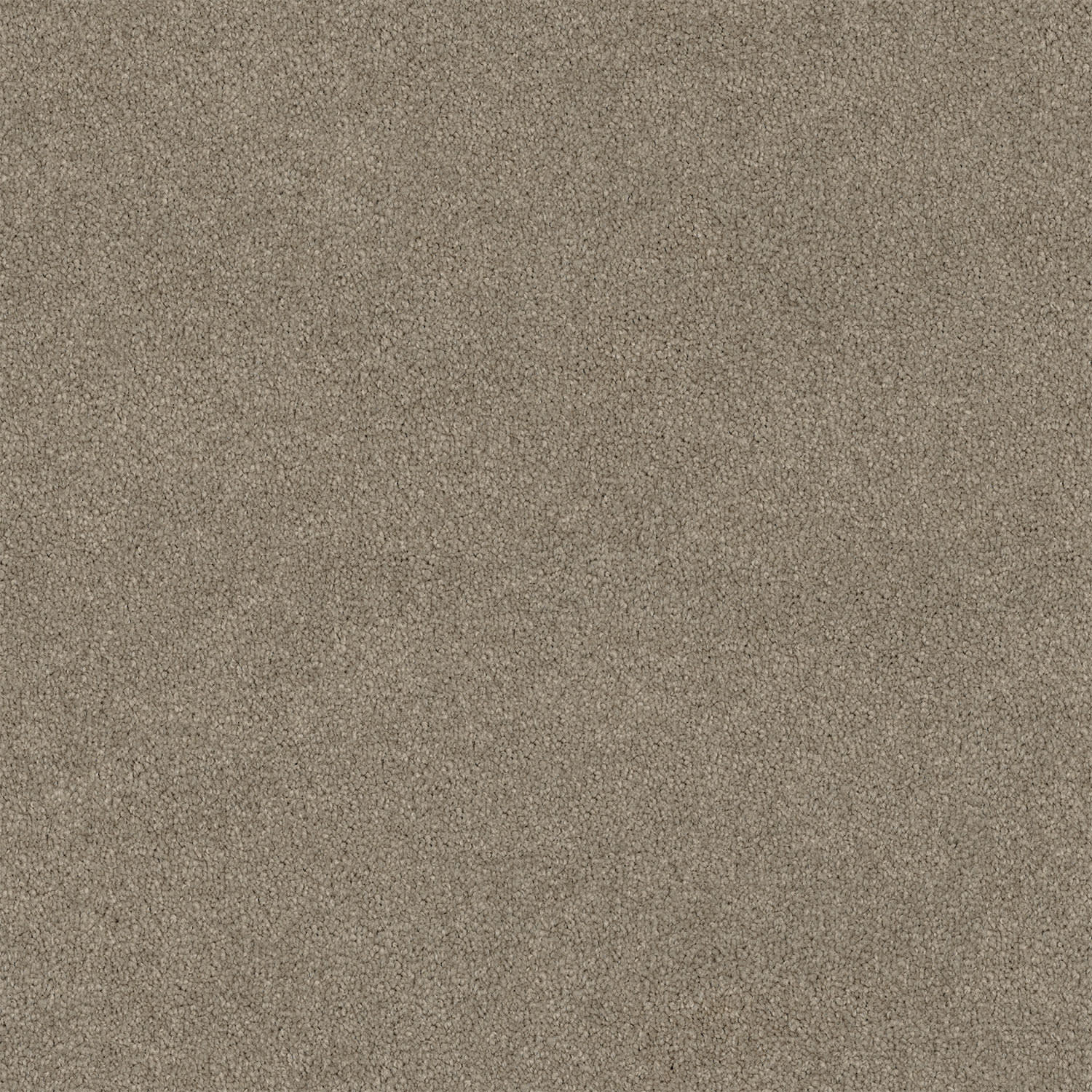 Lasting Touch carpet in Heritage