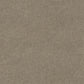 Lasting Touch carpet in Heritage