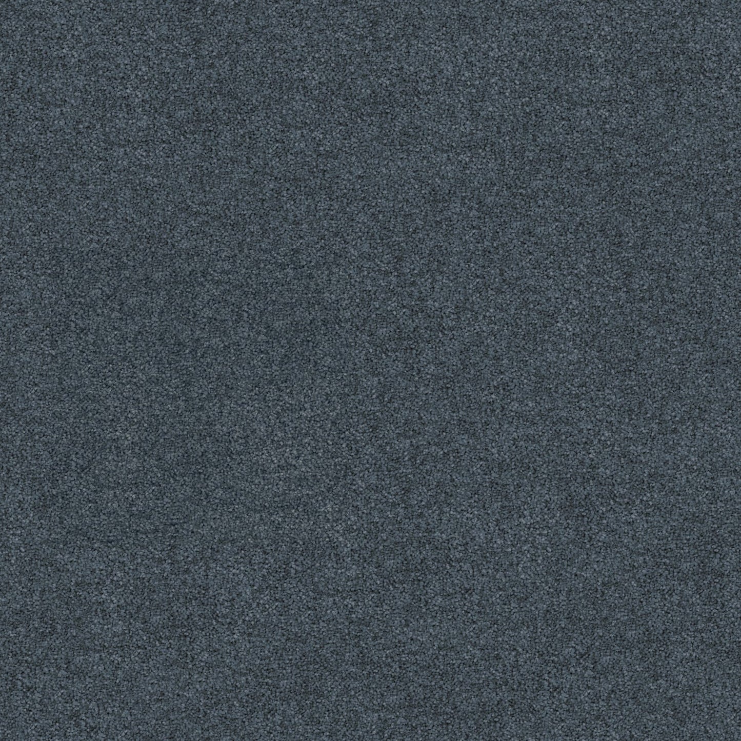 Freedom carpet in Lobelia
