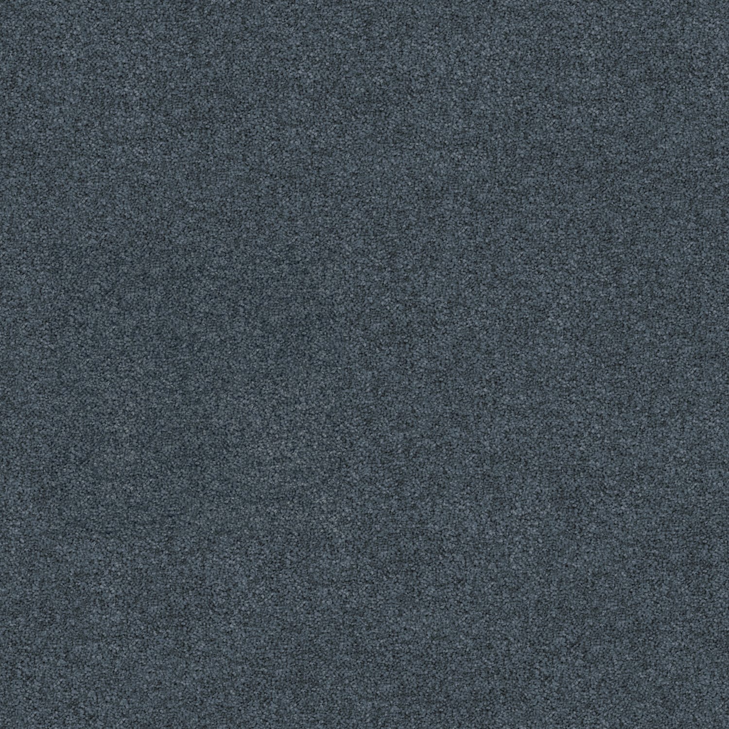 Freedom carpet in Lobelia