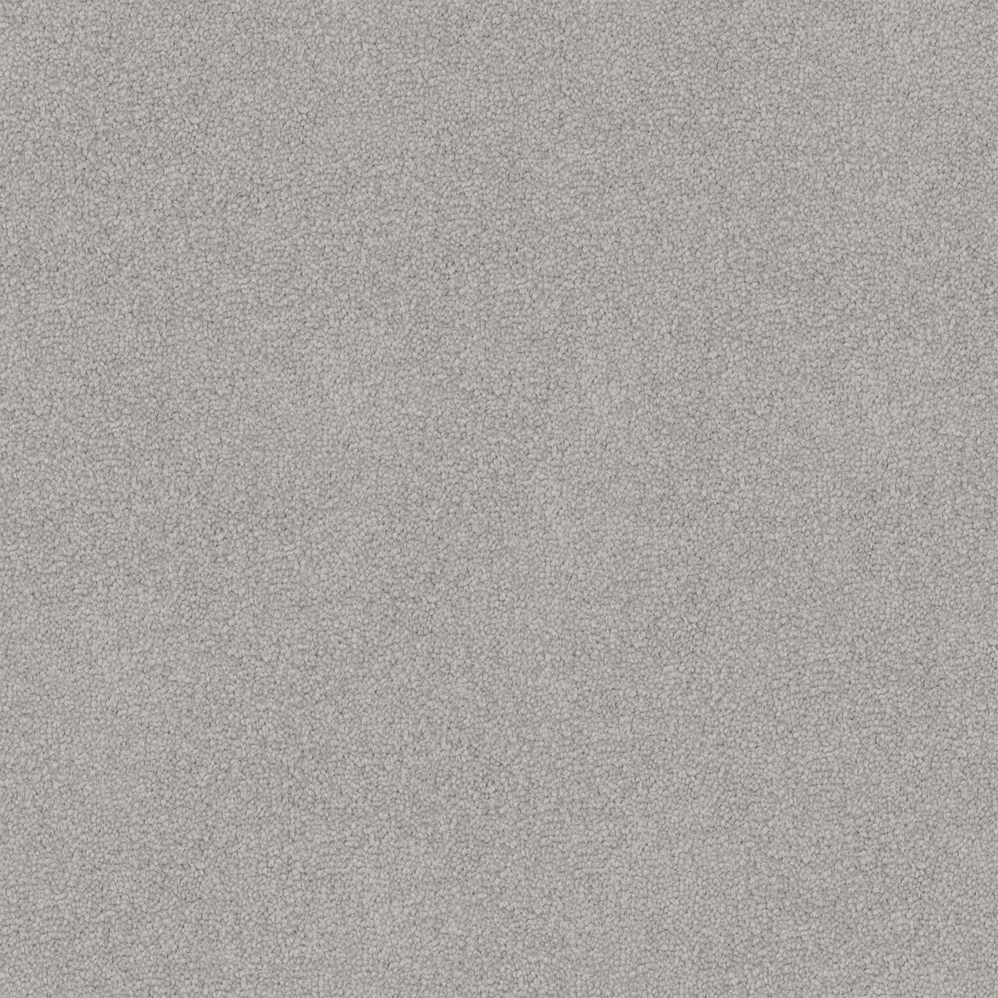 Entertaining carpet in Twilight Grey