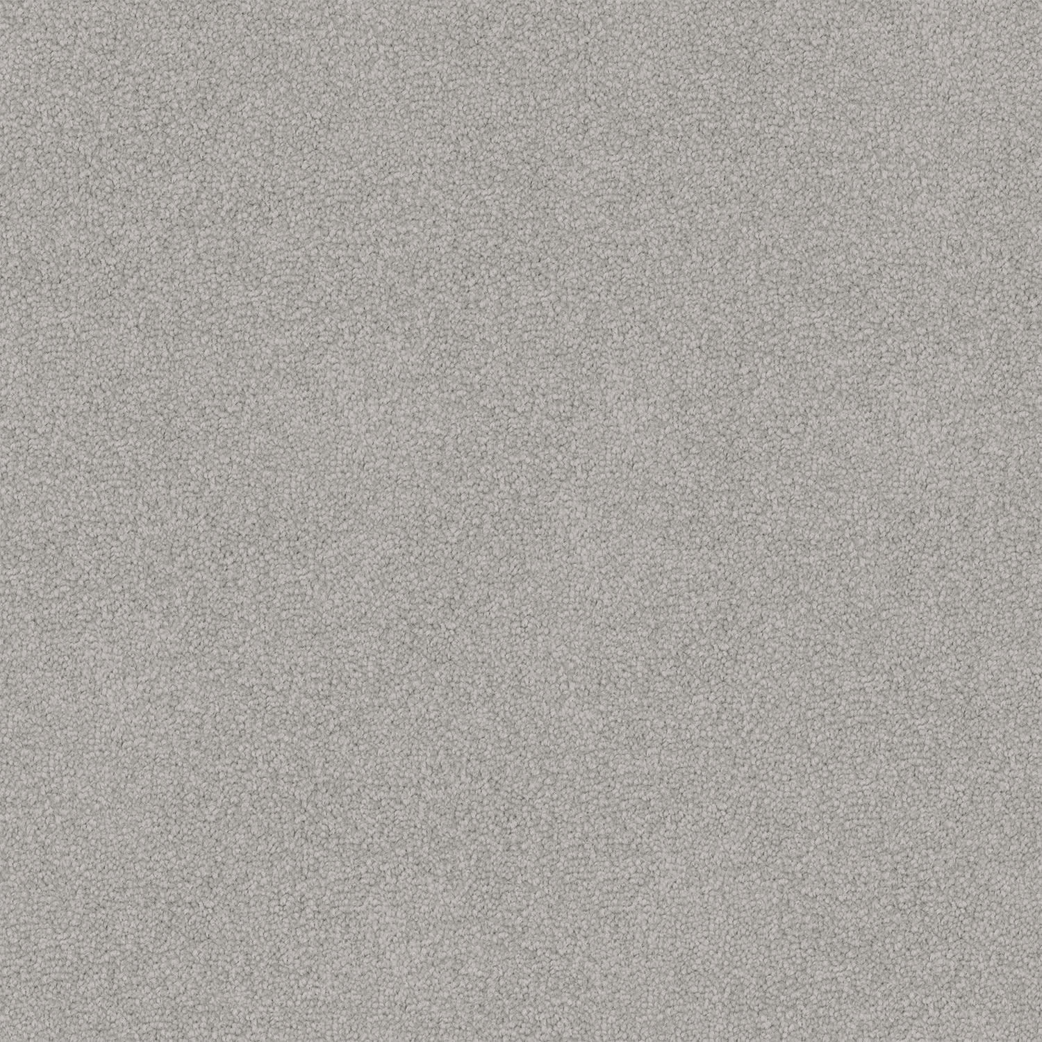Entertaining carpet in Twilight Grey