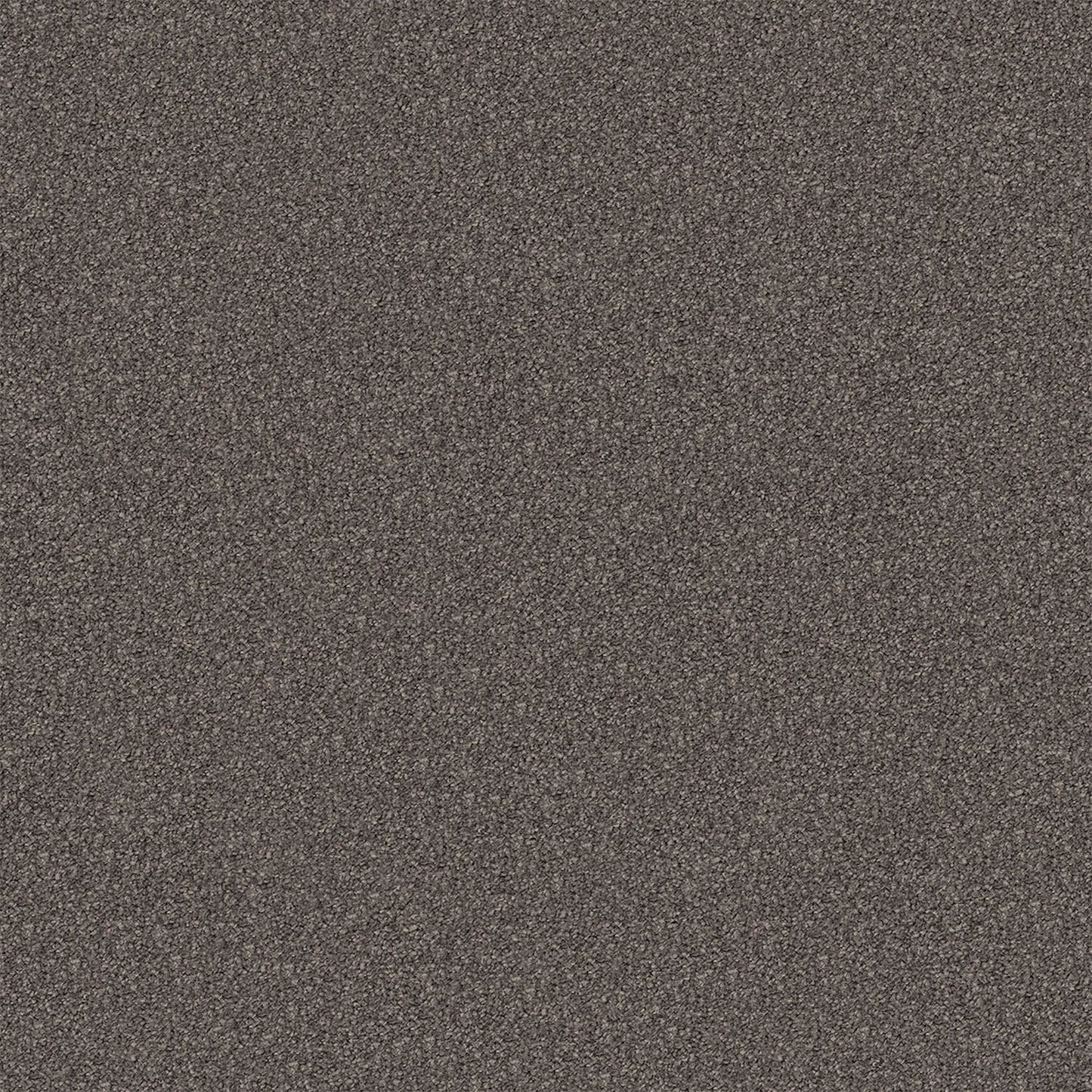 Regal Elegance carpet in Dark Earth