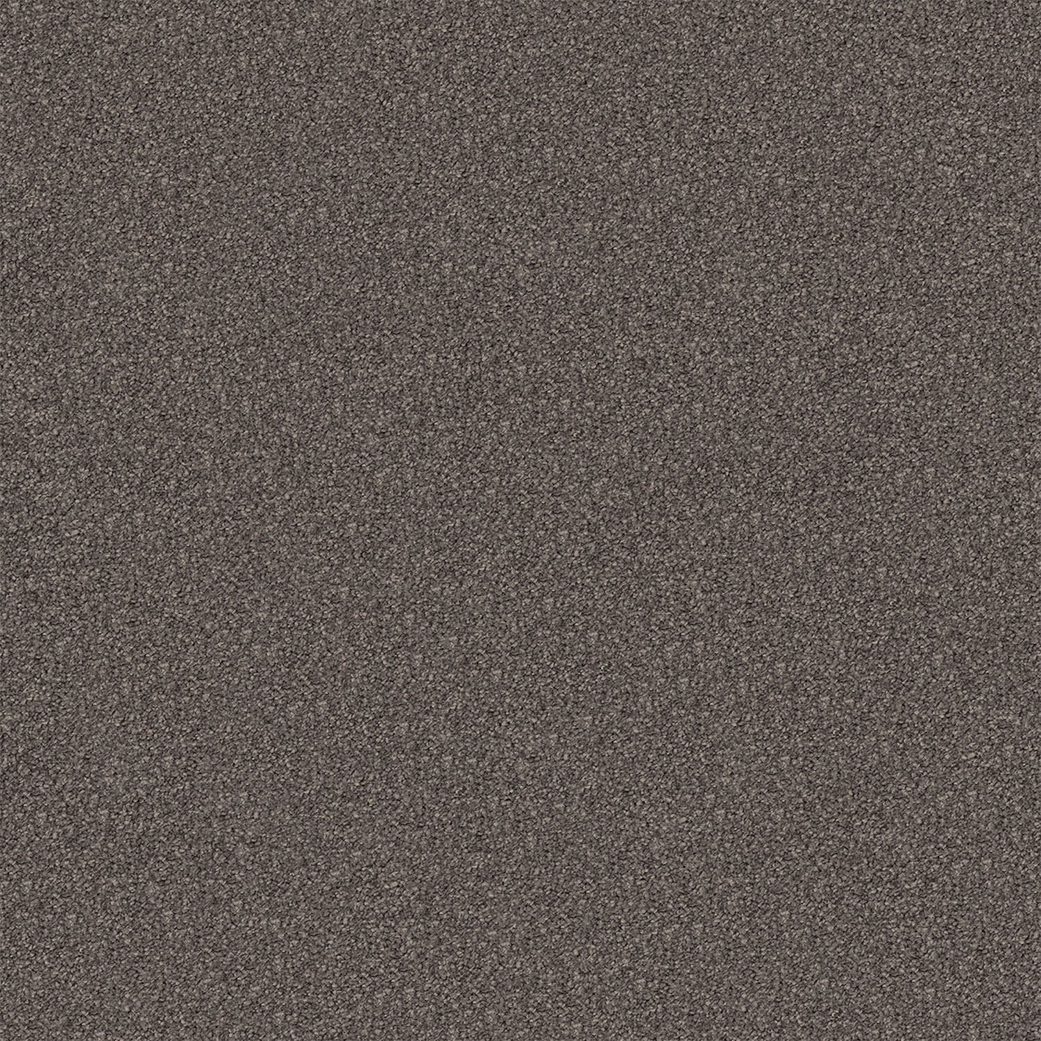 Regal Elegance carpet in Dark Earth