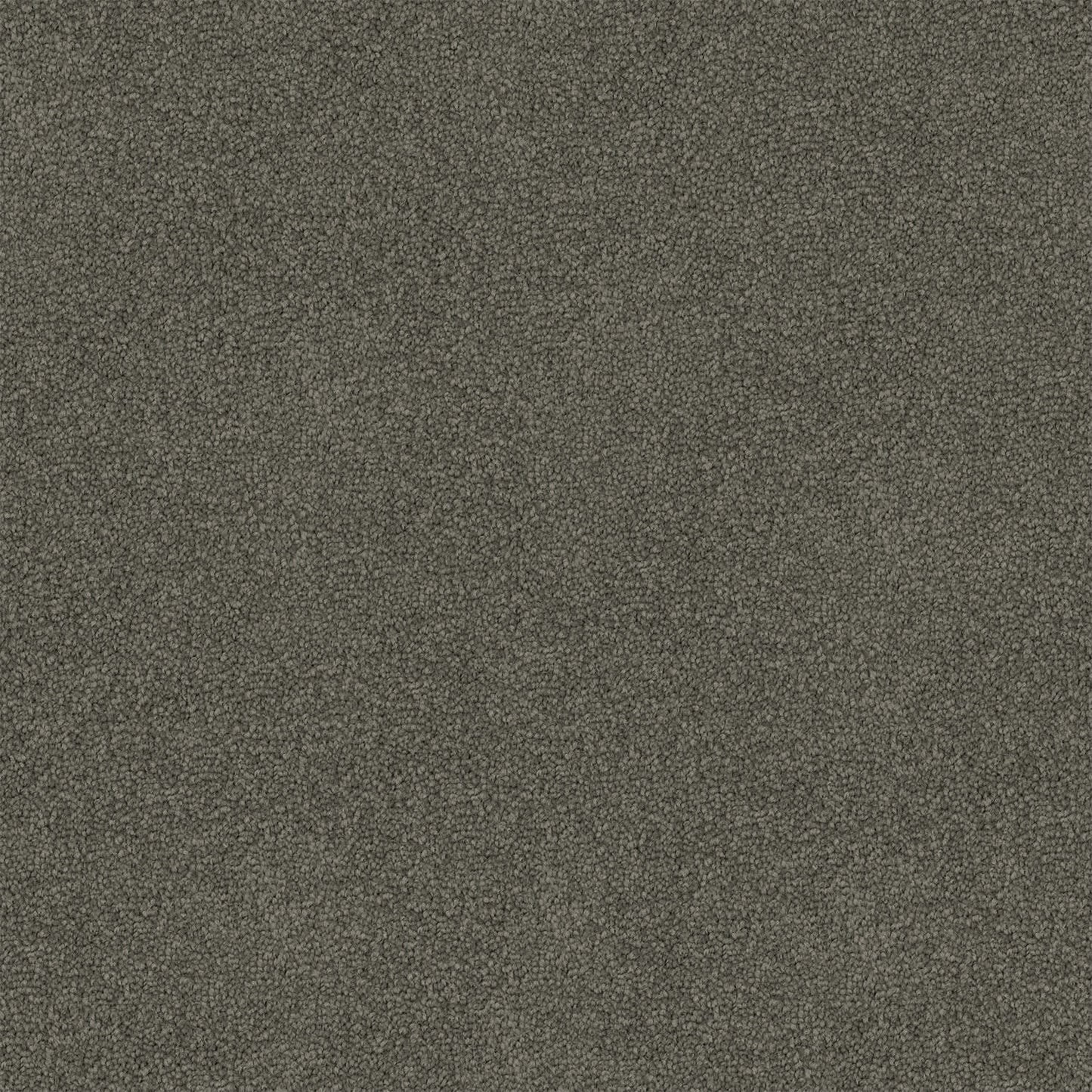 Freedom carpet in Dark Matter