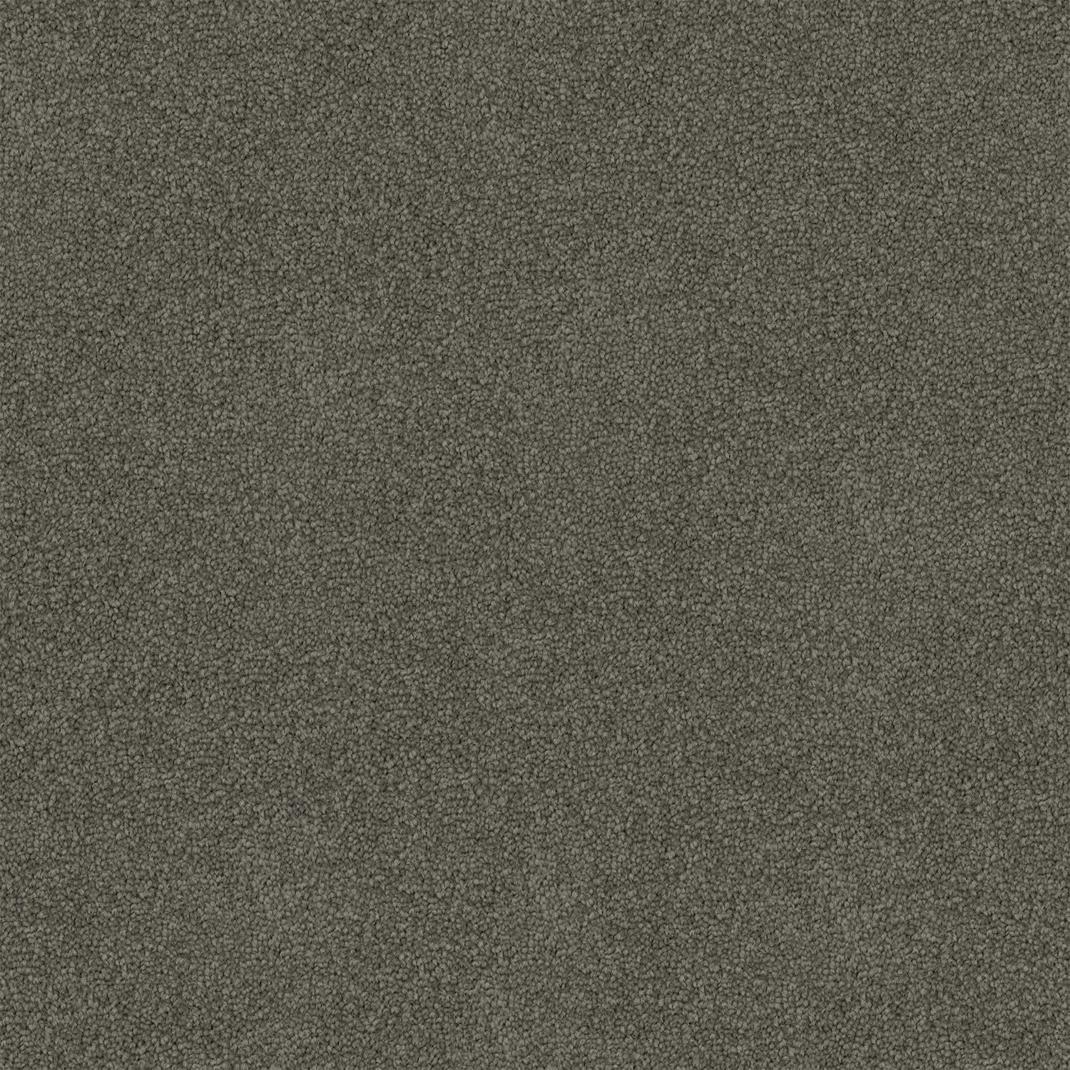 Freedom carpet in Dark Matter