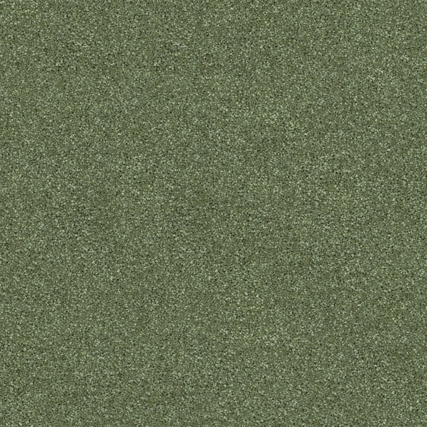 Revive carpet in Meadow
