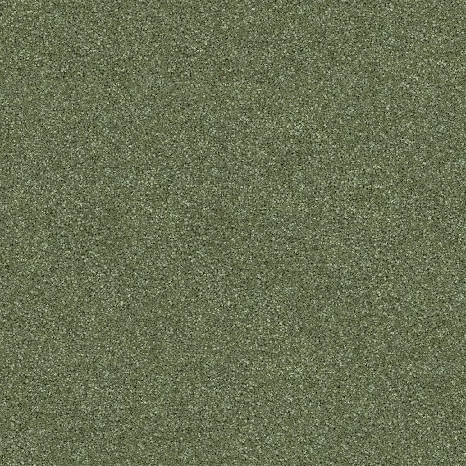 Revive carpet in Meadow