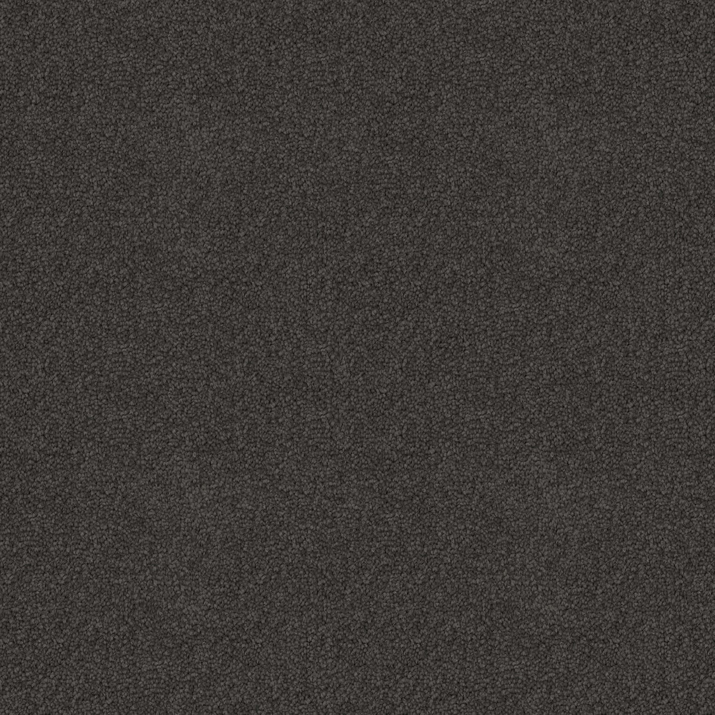 Skyway carpet in Graphite