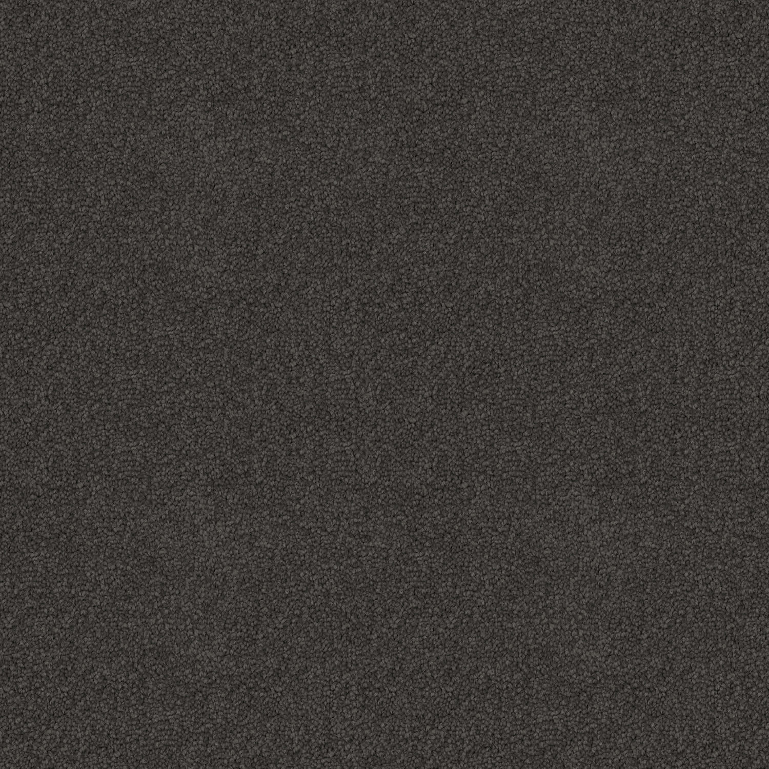 Skyway carpet in Graphite