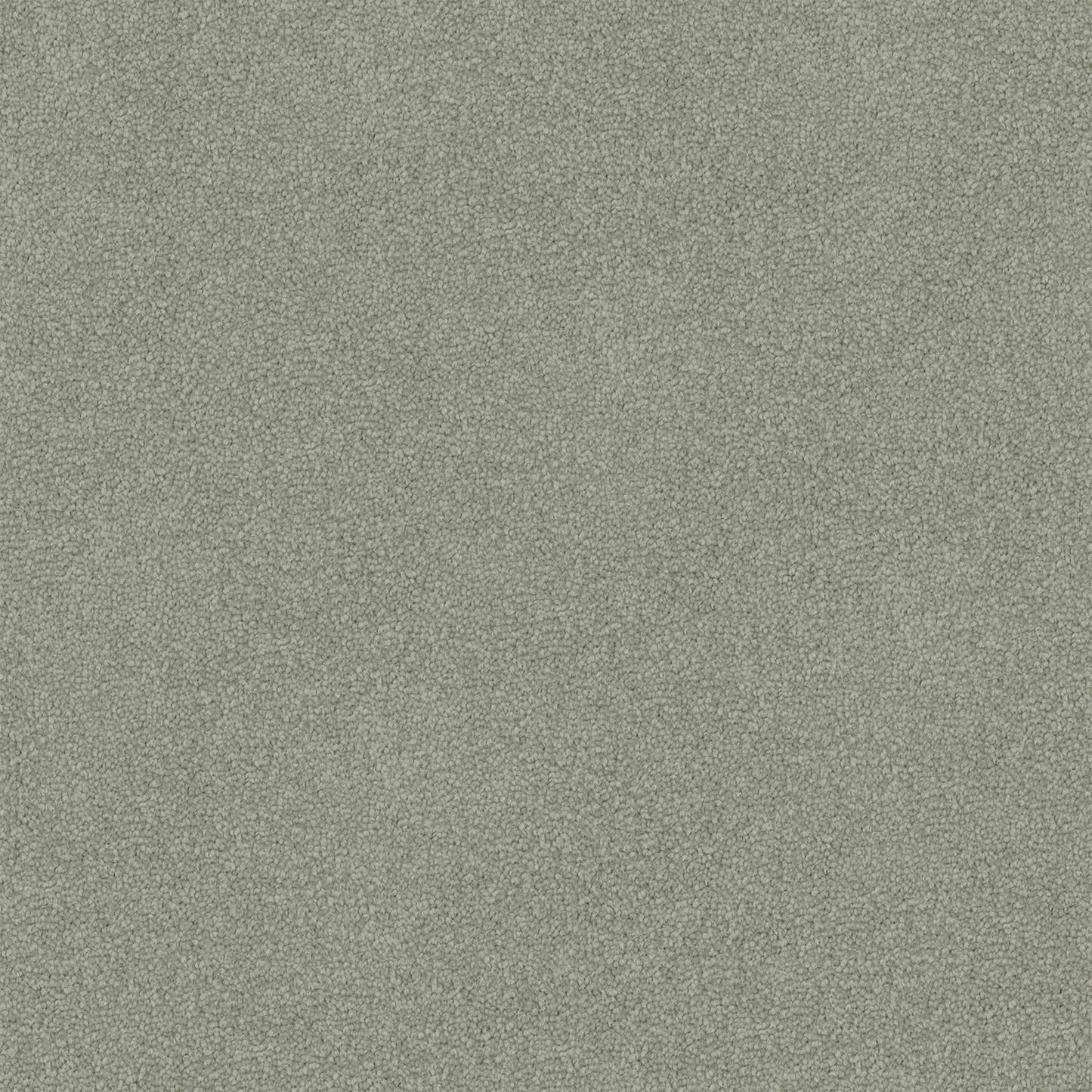 Dawn Rise carpet in Basil