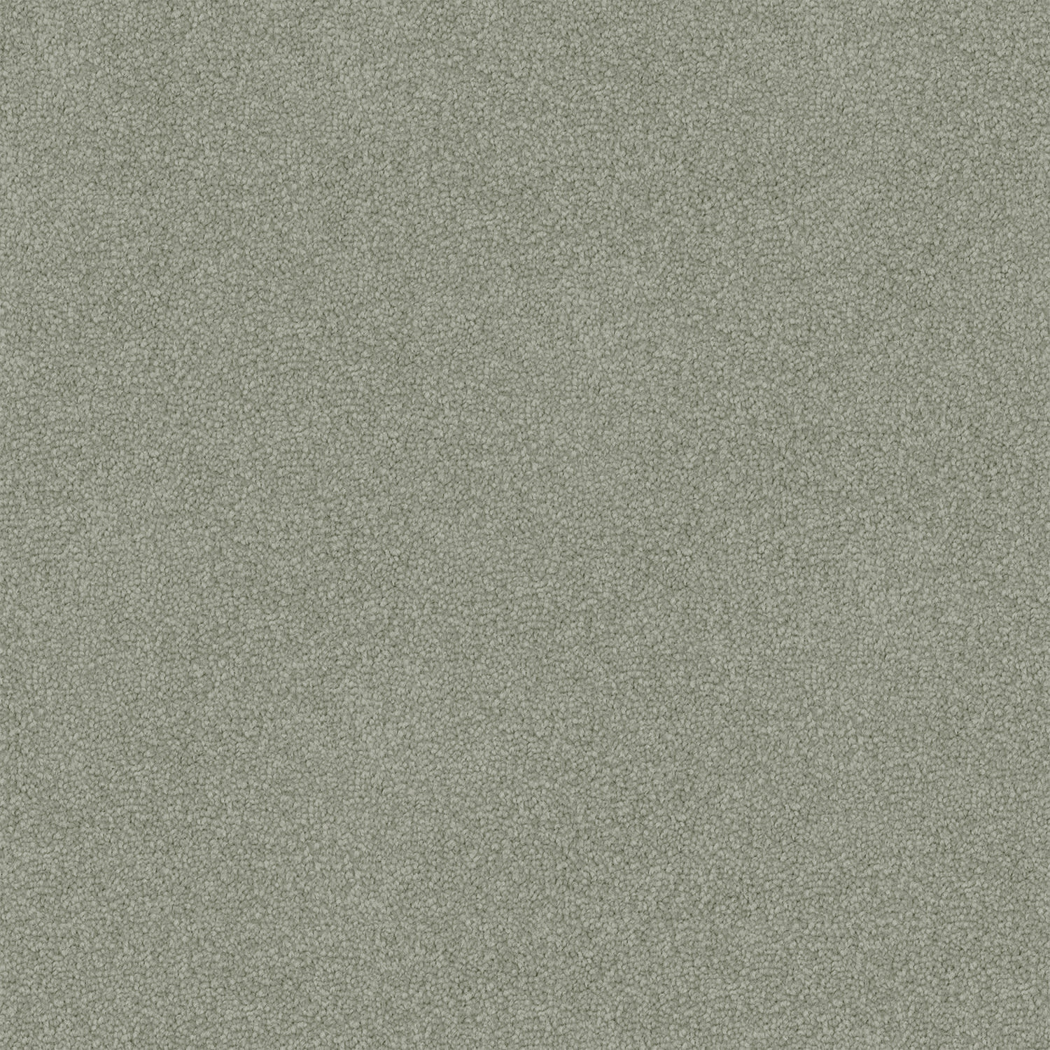 Dawn Rise carpet in Basil