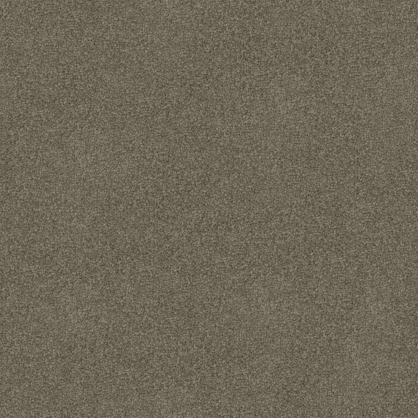 Freedom carpet in Anchor