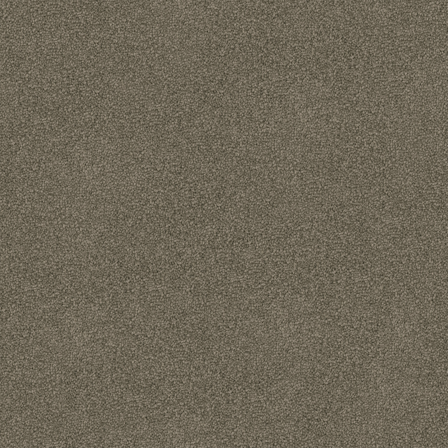 Freedom carpet in Anchor