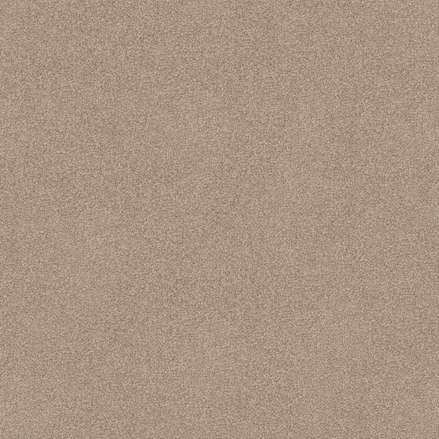 Dawn Rise carpet in Soft Nude