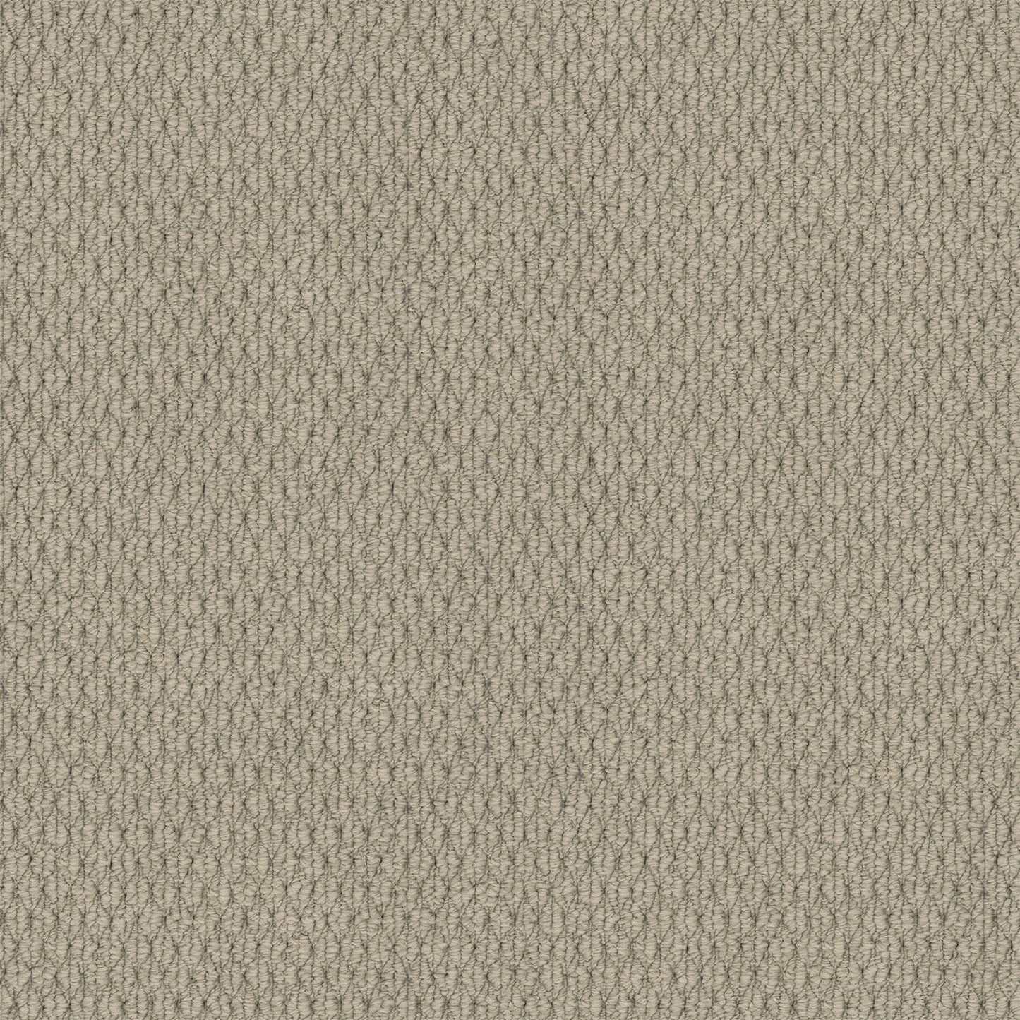 Kashmir carpet in Aged Pearl