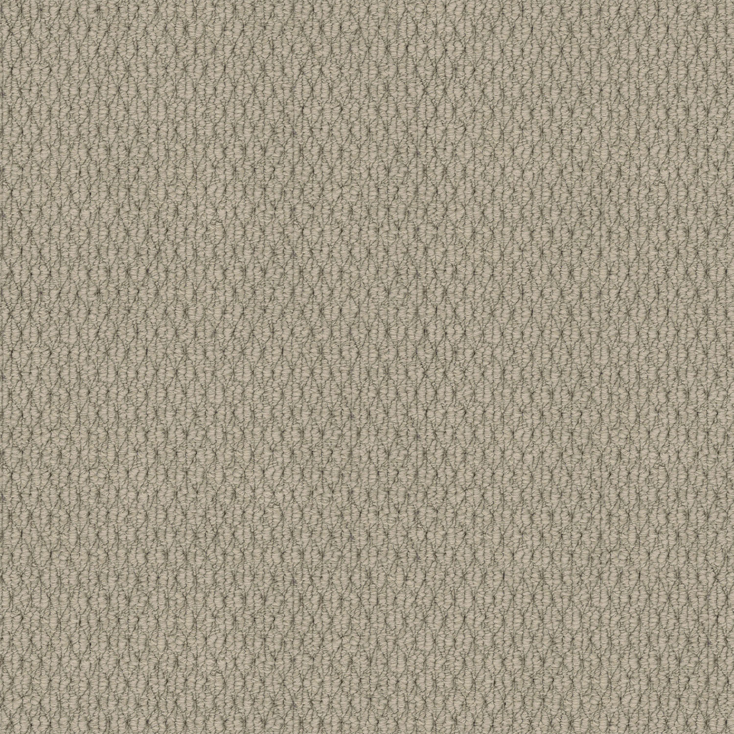 Kashmir carpet in Aged Pearl