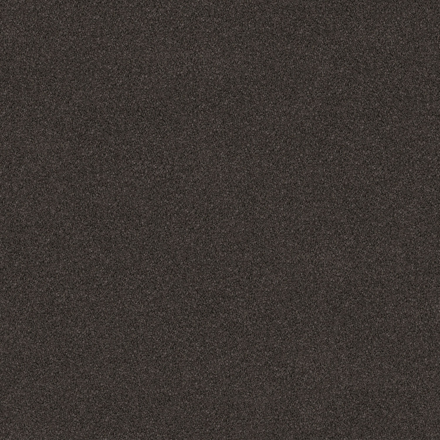 Wild River carpet in Dark Cable