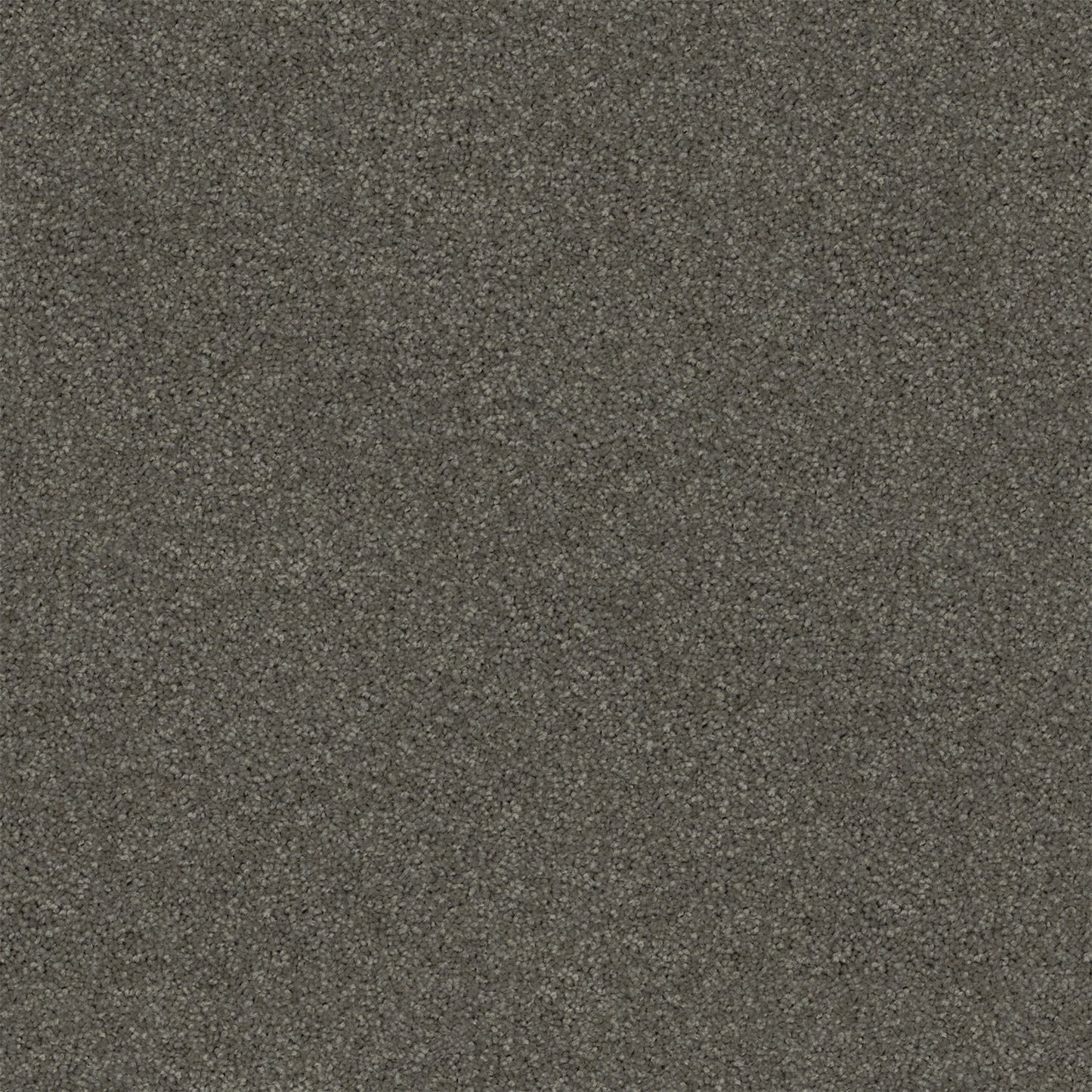 Revive carpet in Chelsea Grey