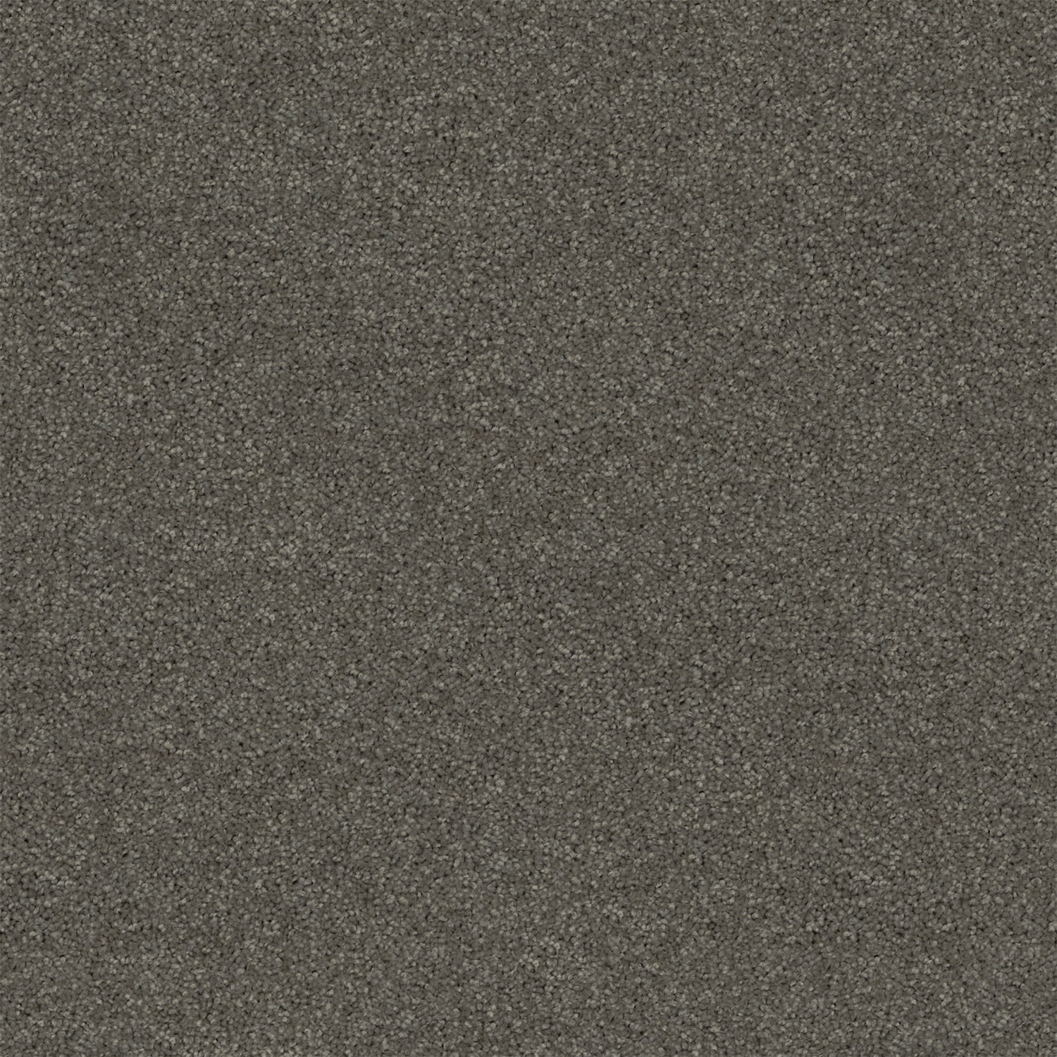 Revive carpet in Chelsea Grey